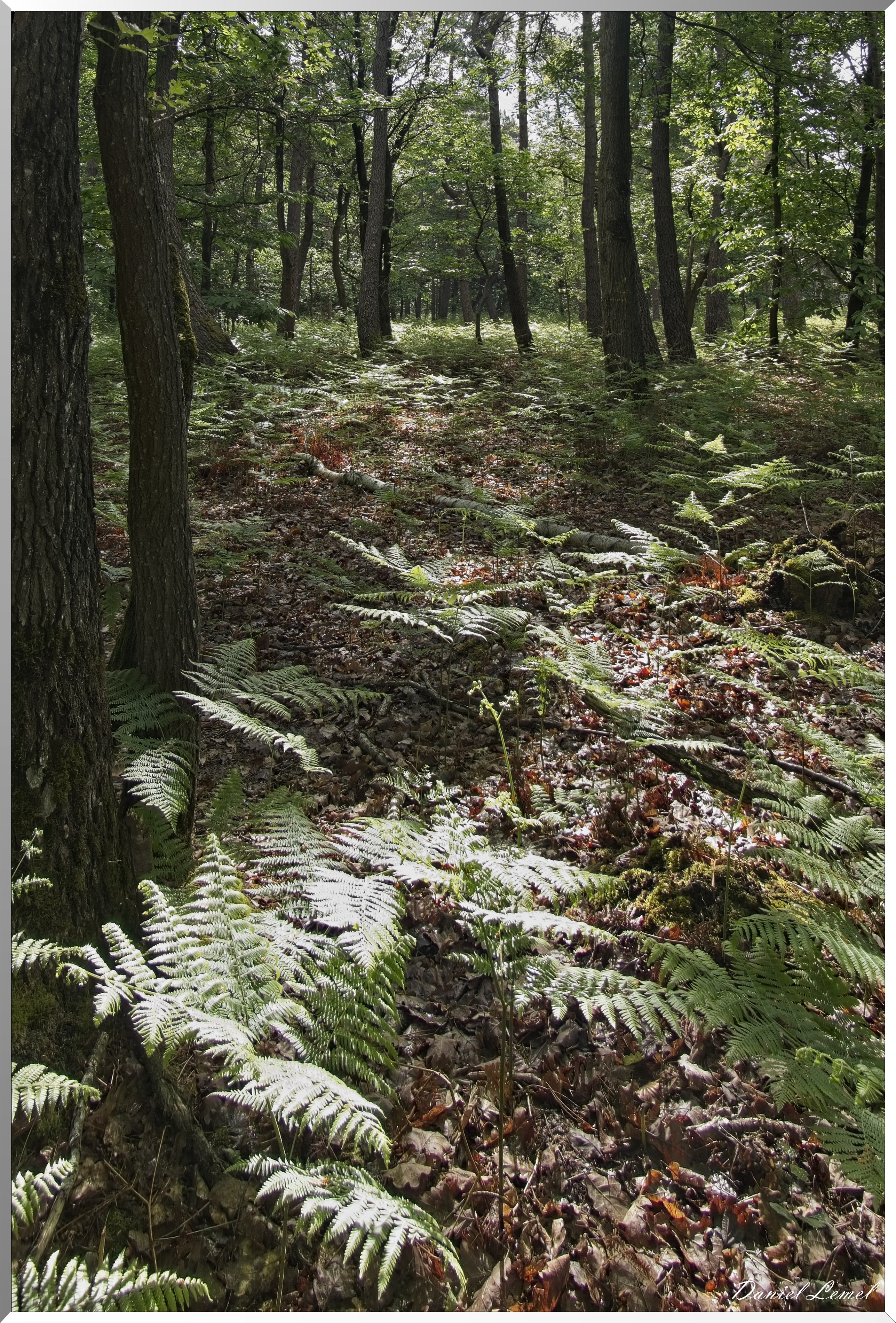 St-Aubin-sur-Gaillon
