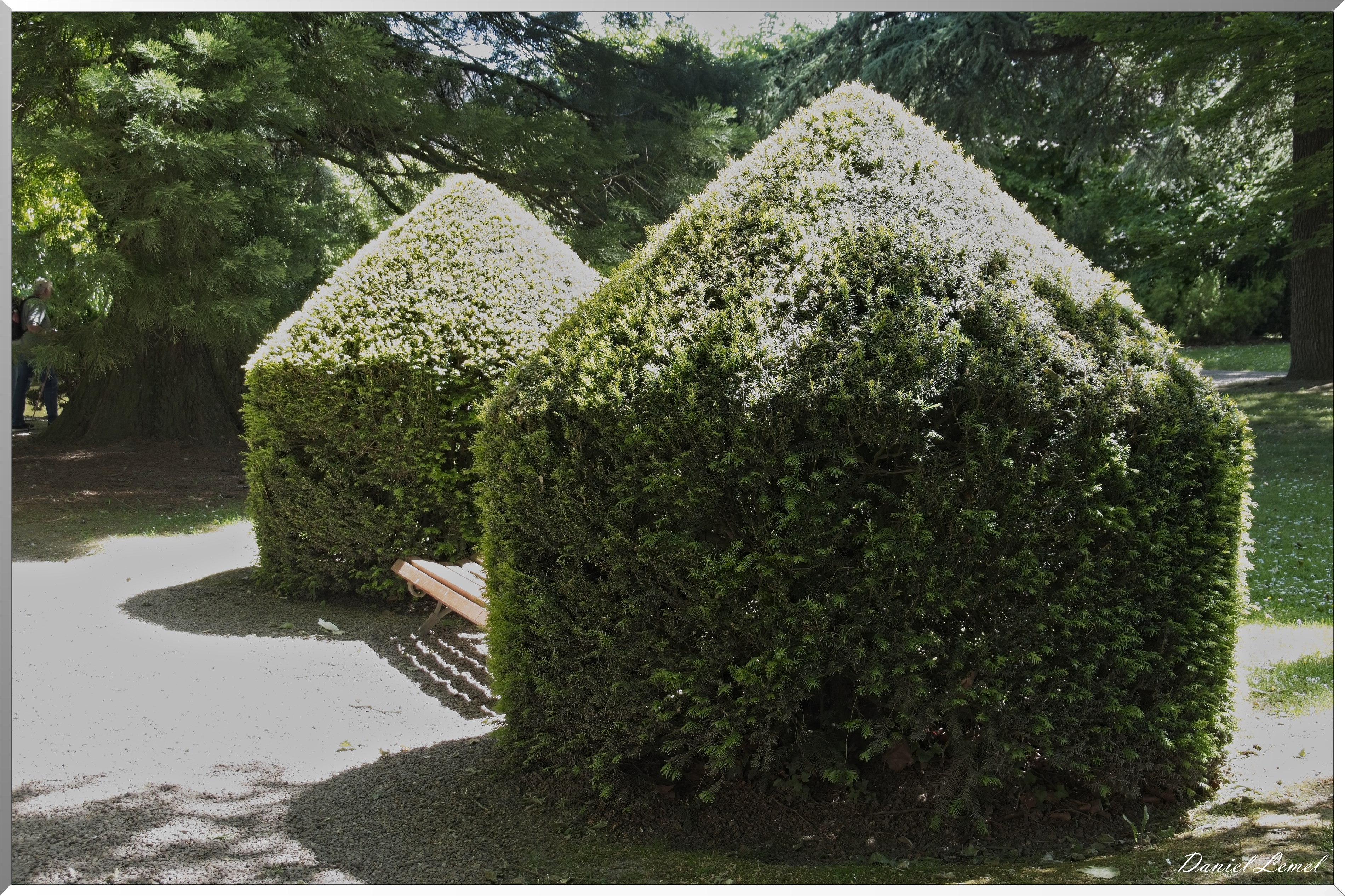 Bernay