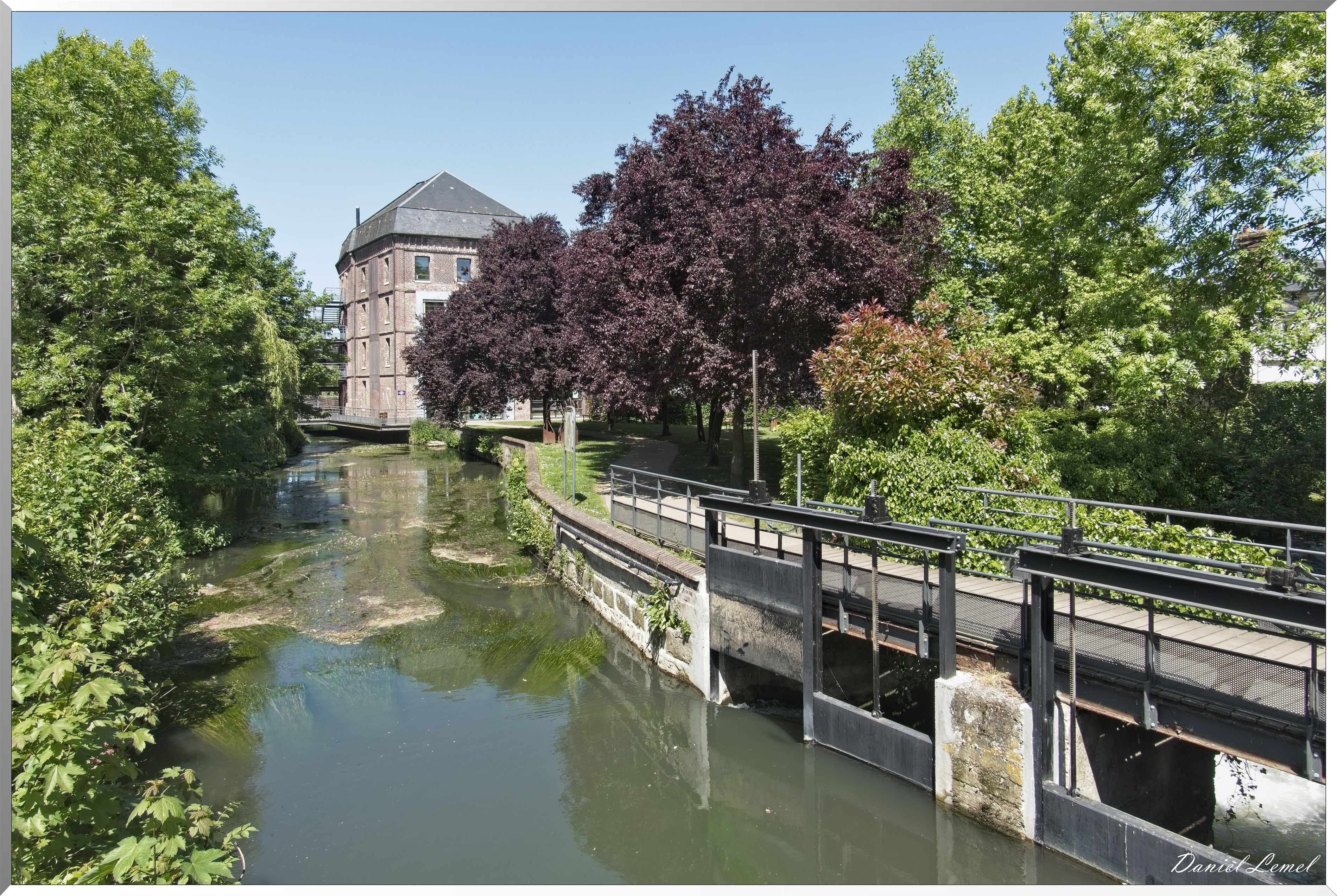 Bernay