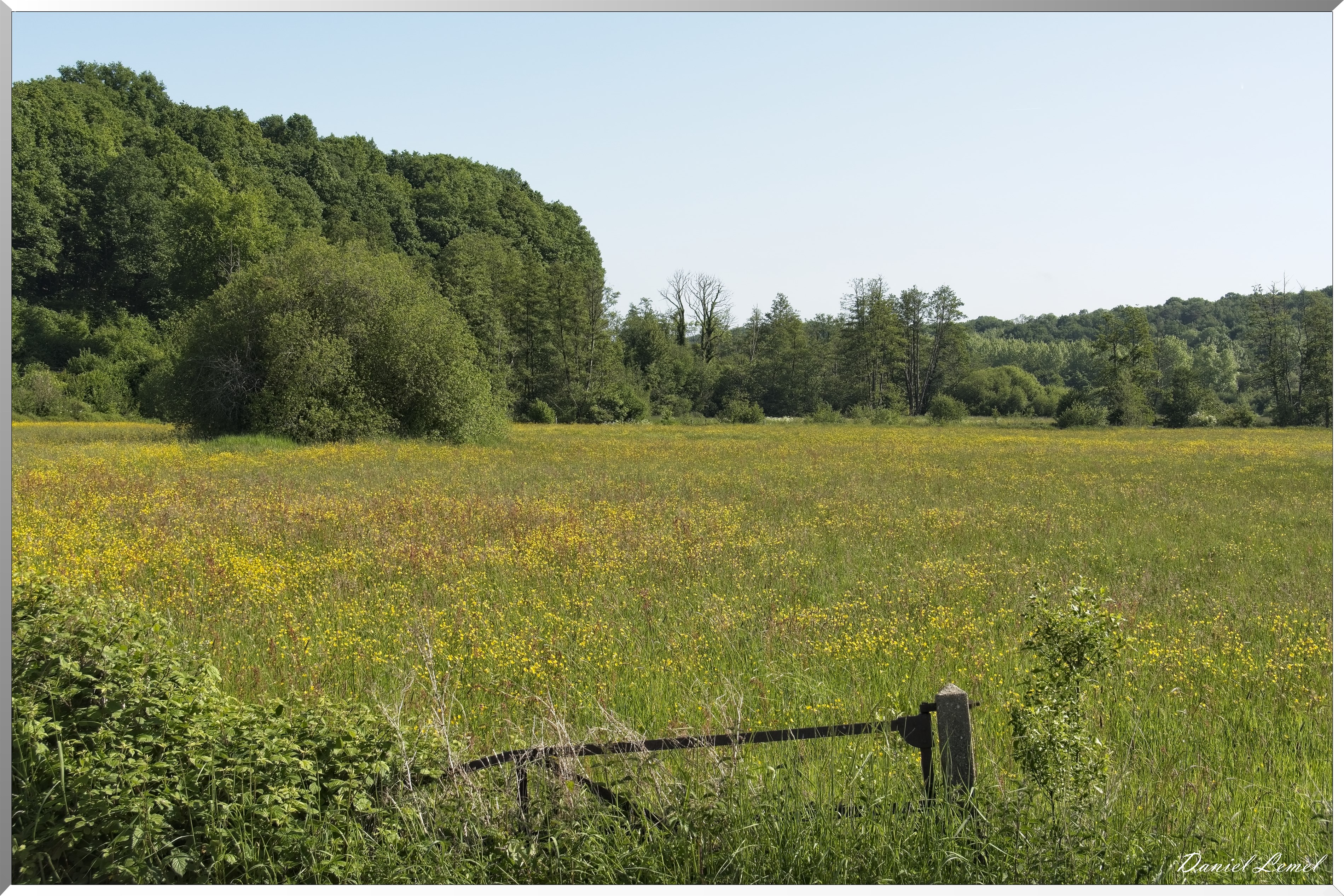 Bernay