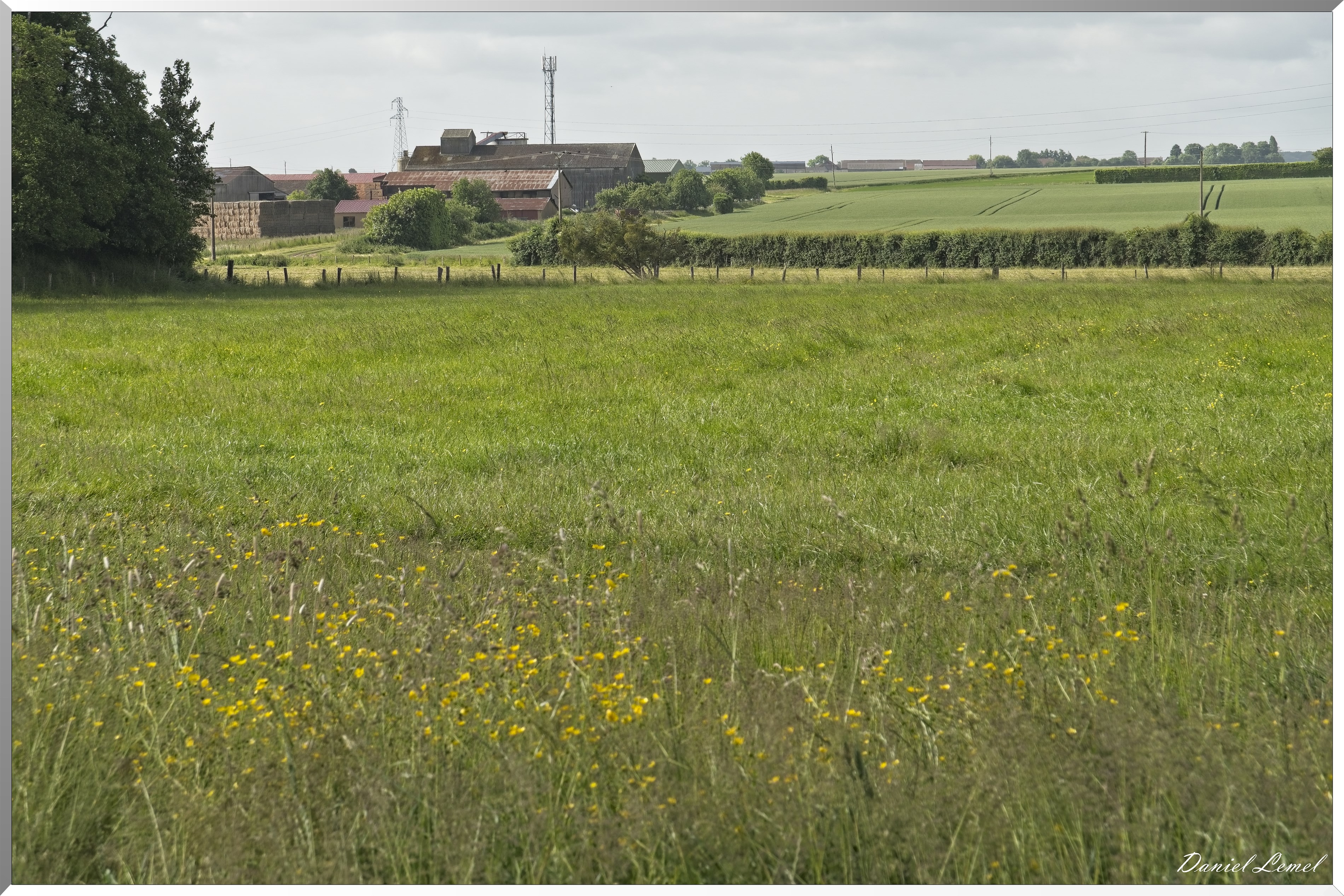 Tourny