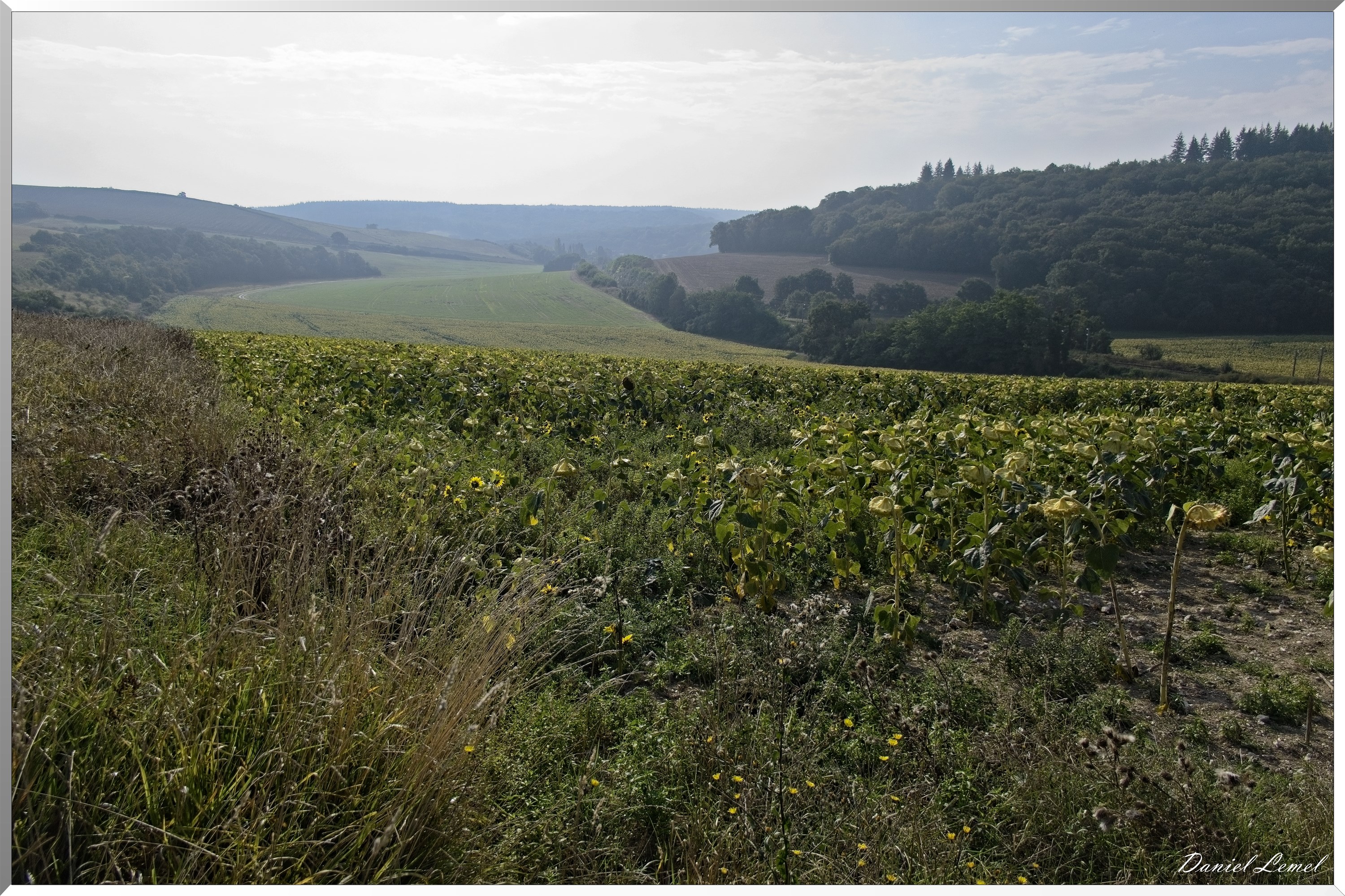 Gadencourt
