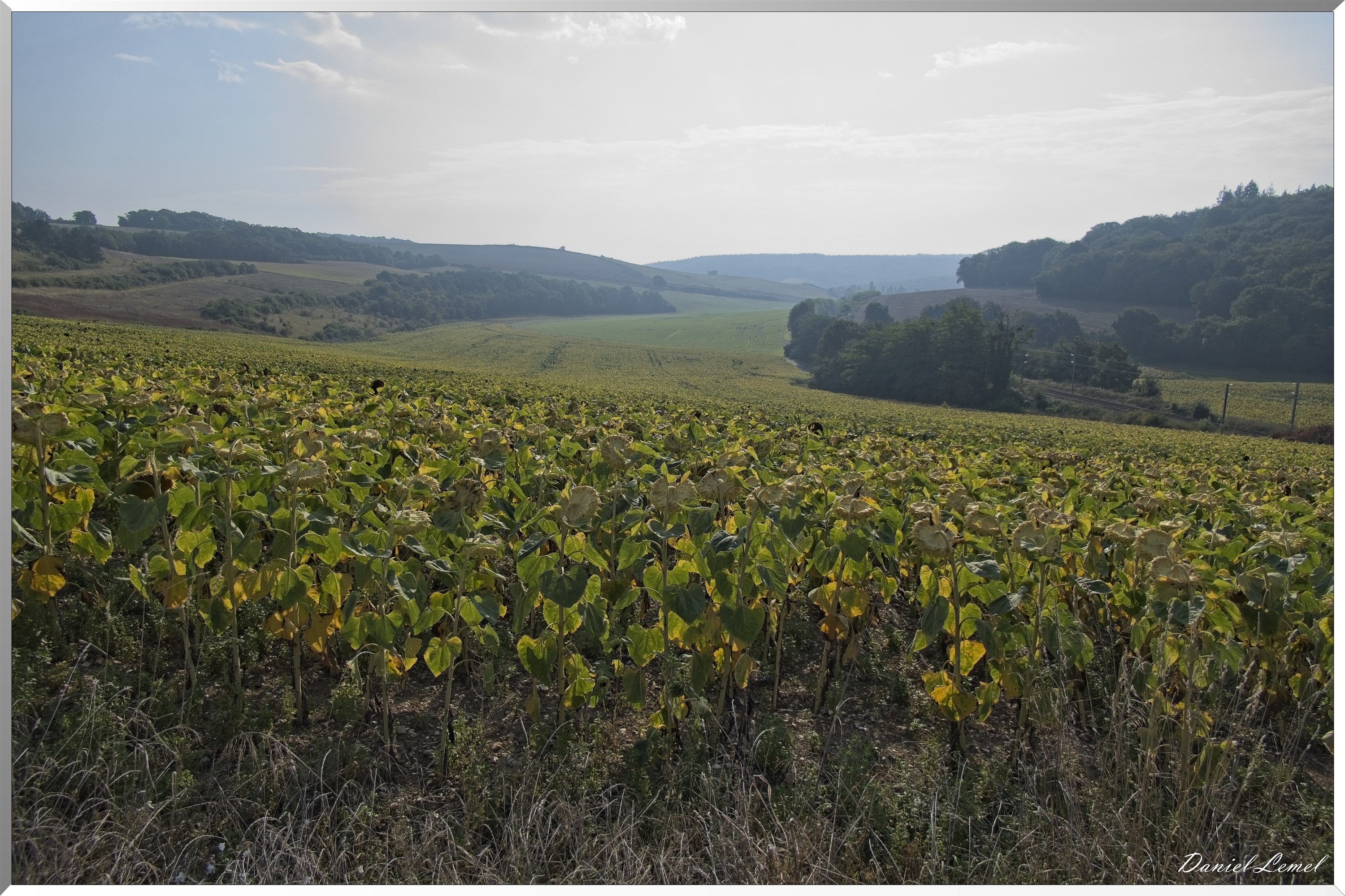 Gadencourt
