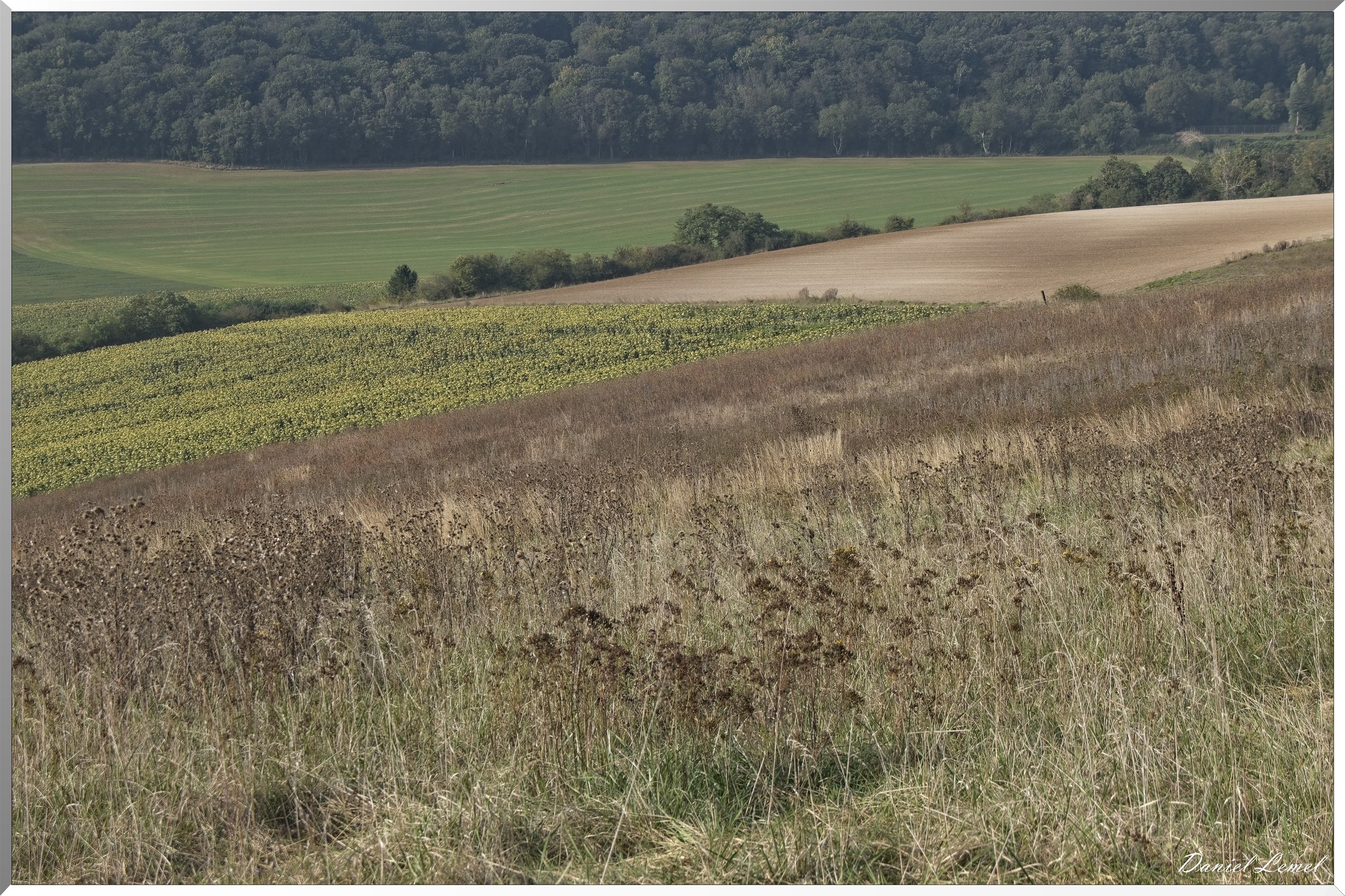 Gadencourt