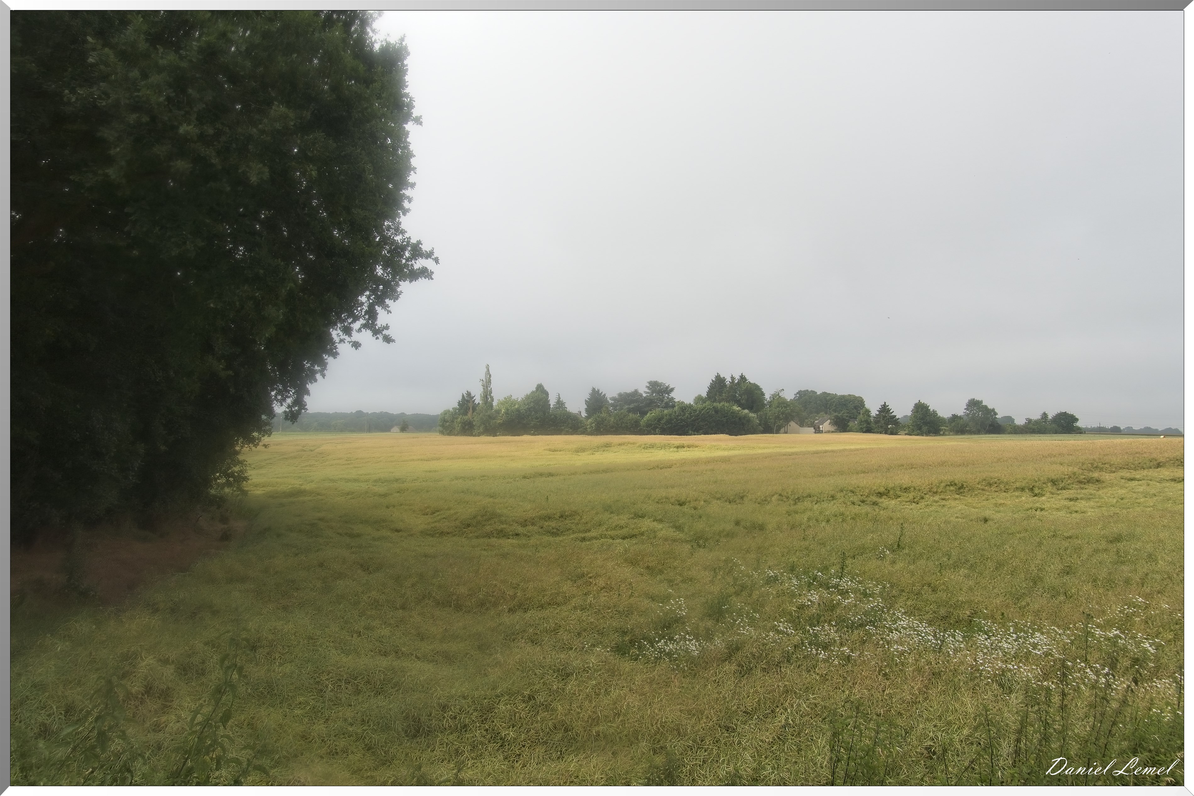 Les-Guinets