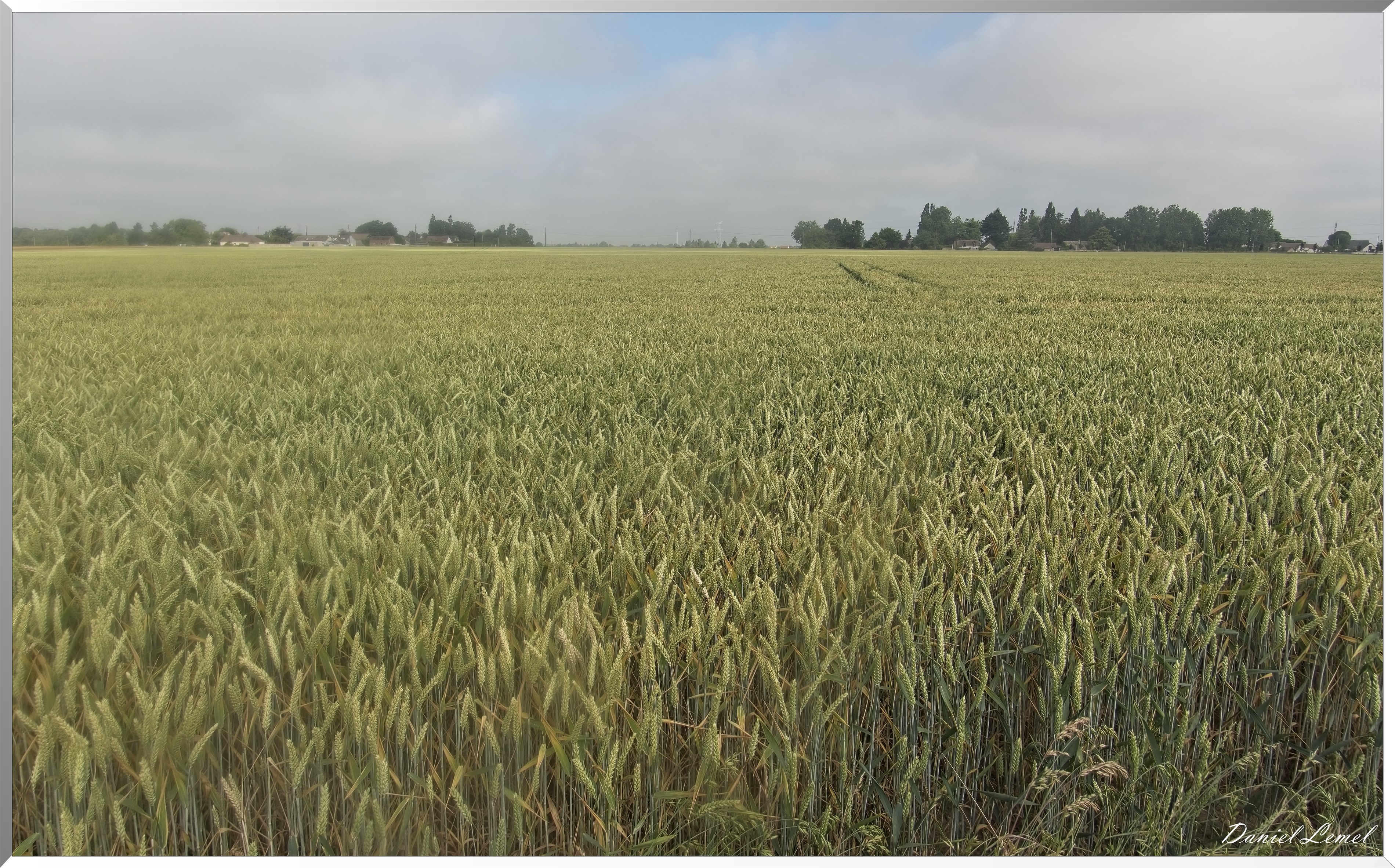 Les-Guinets