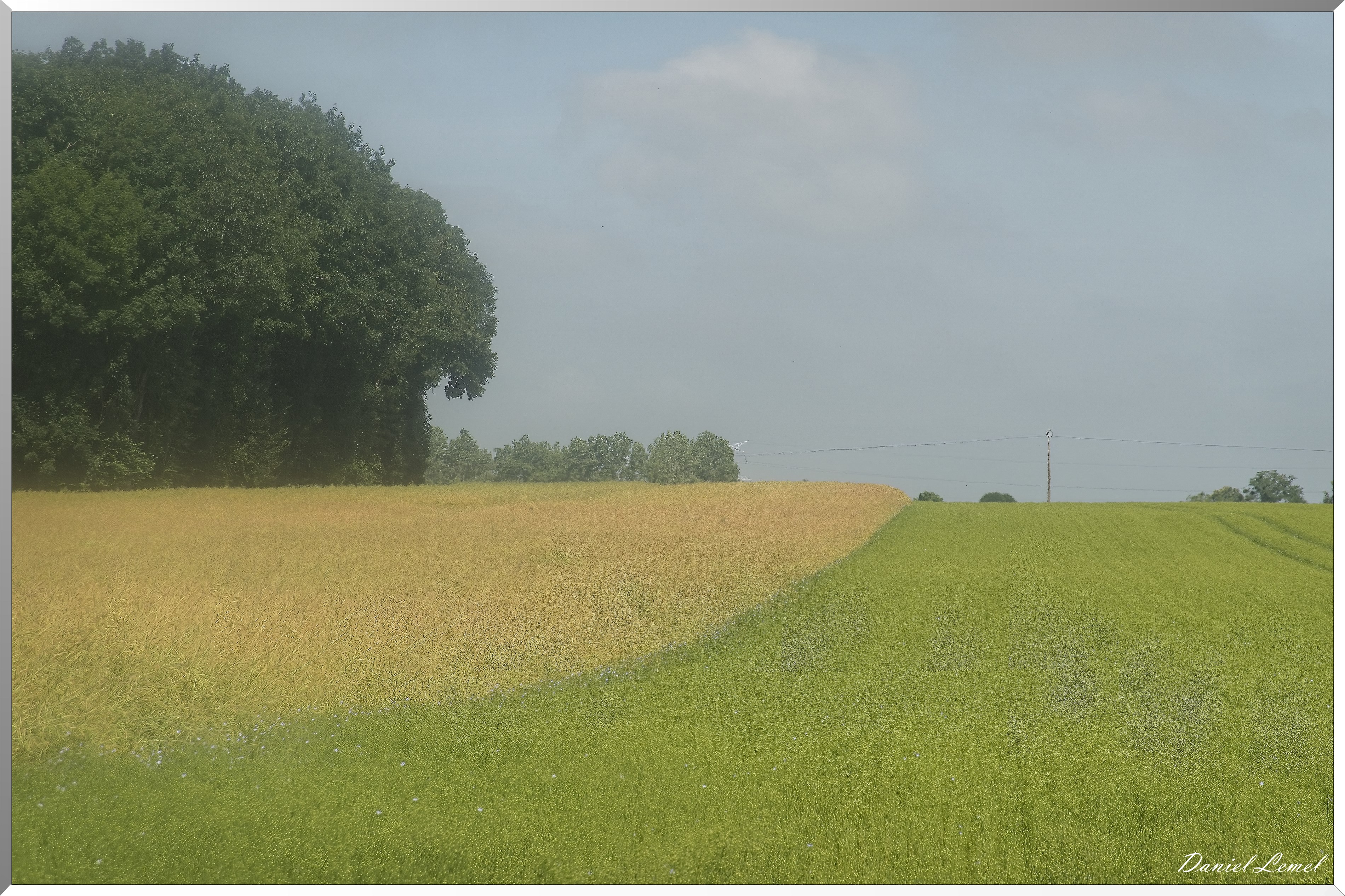Les-Guinets