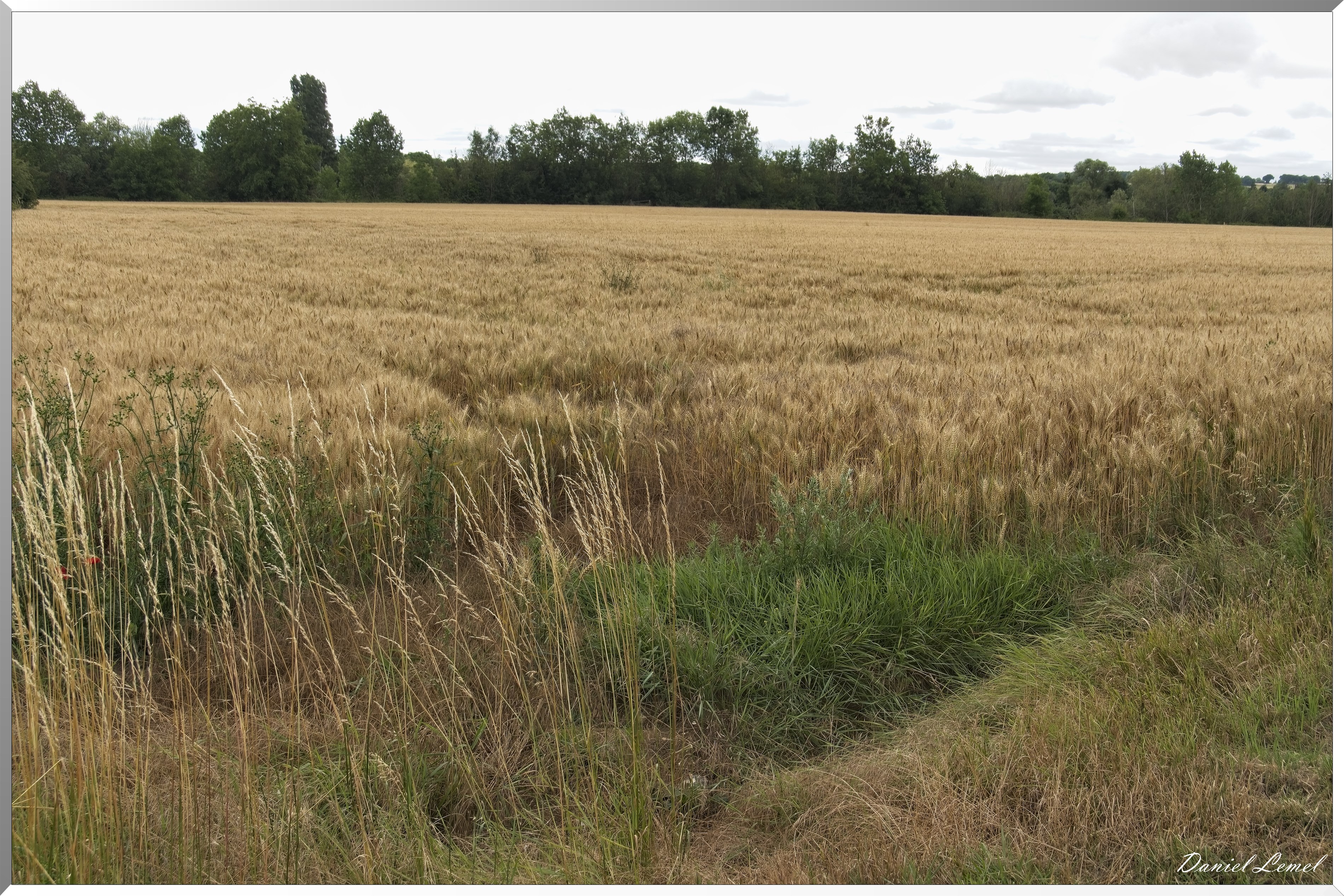 Gommecourt