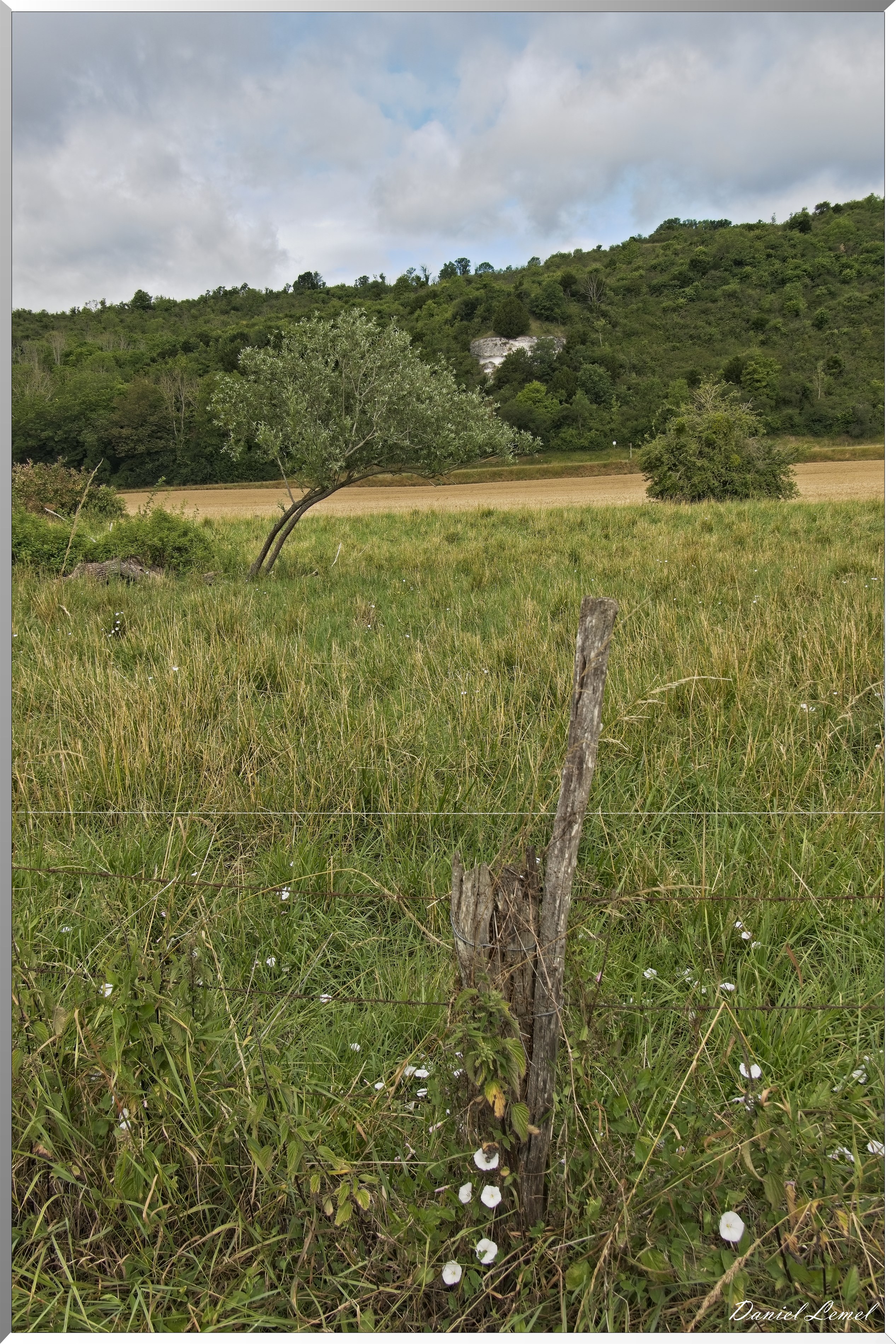 Gommecourt