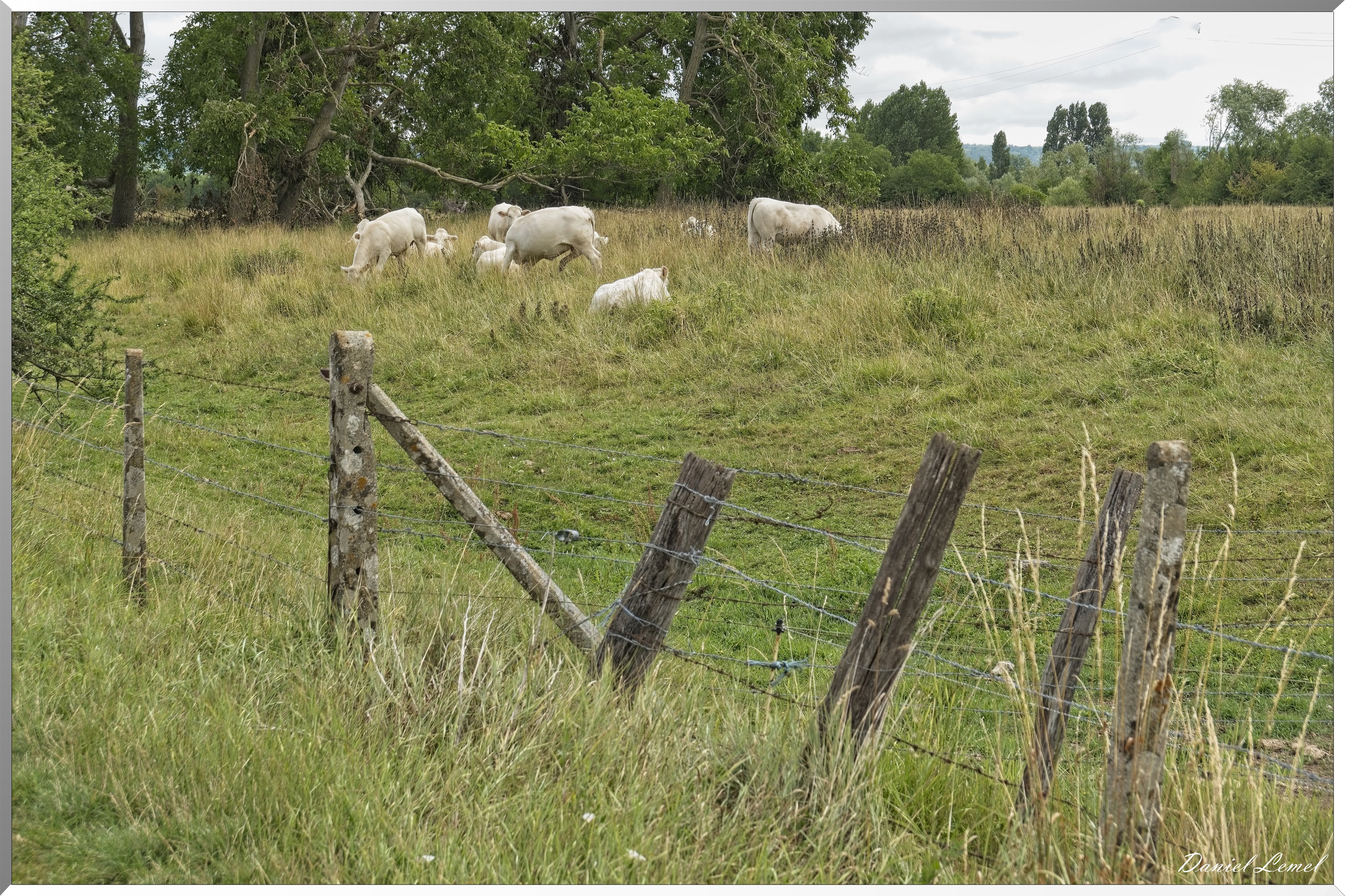 Gommecourt