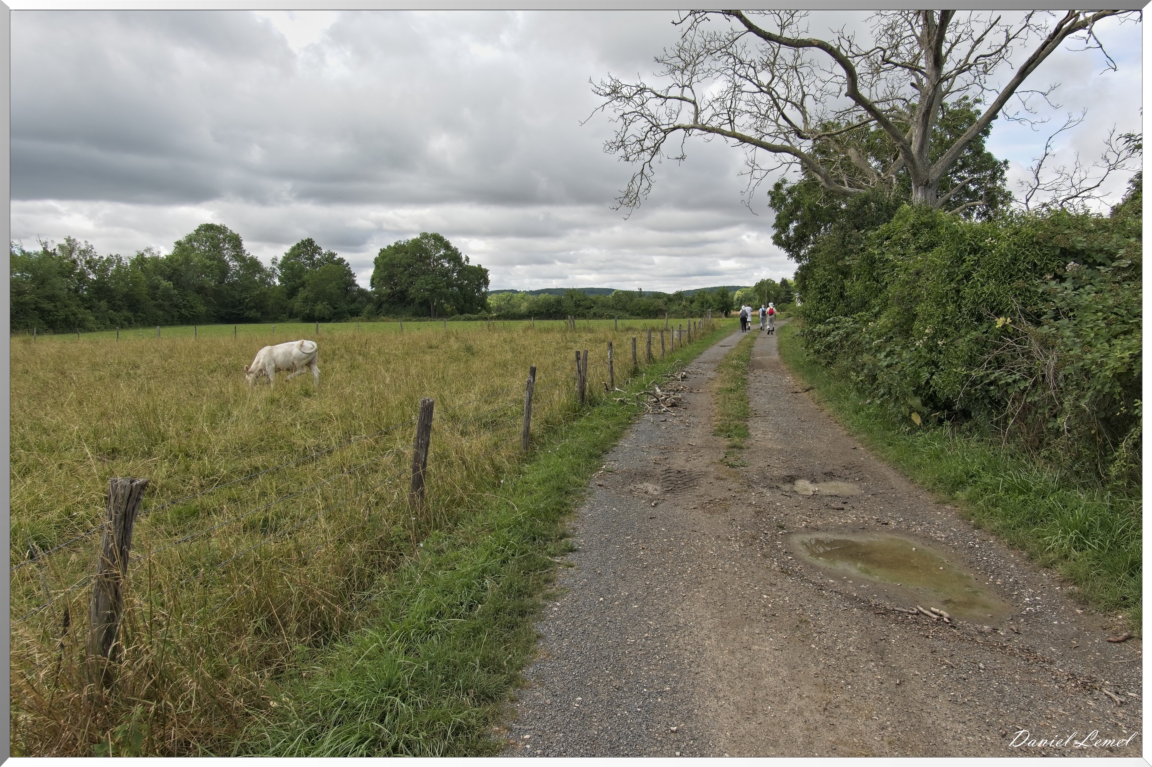 Gommecourt