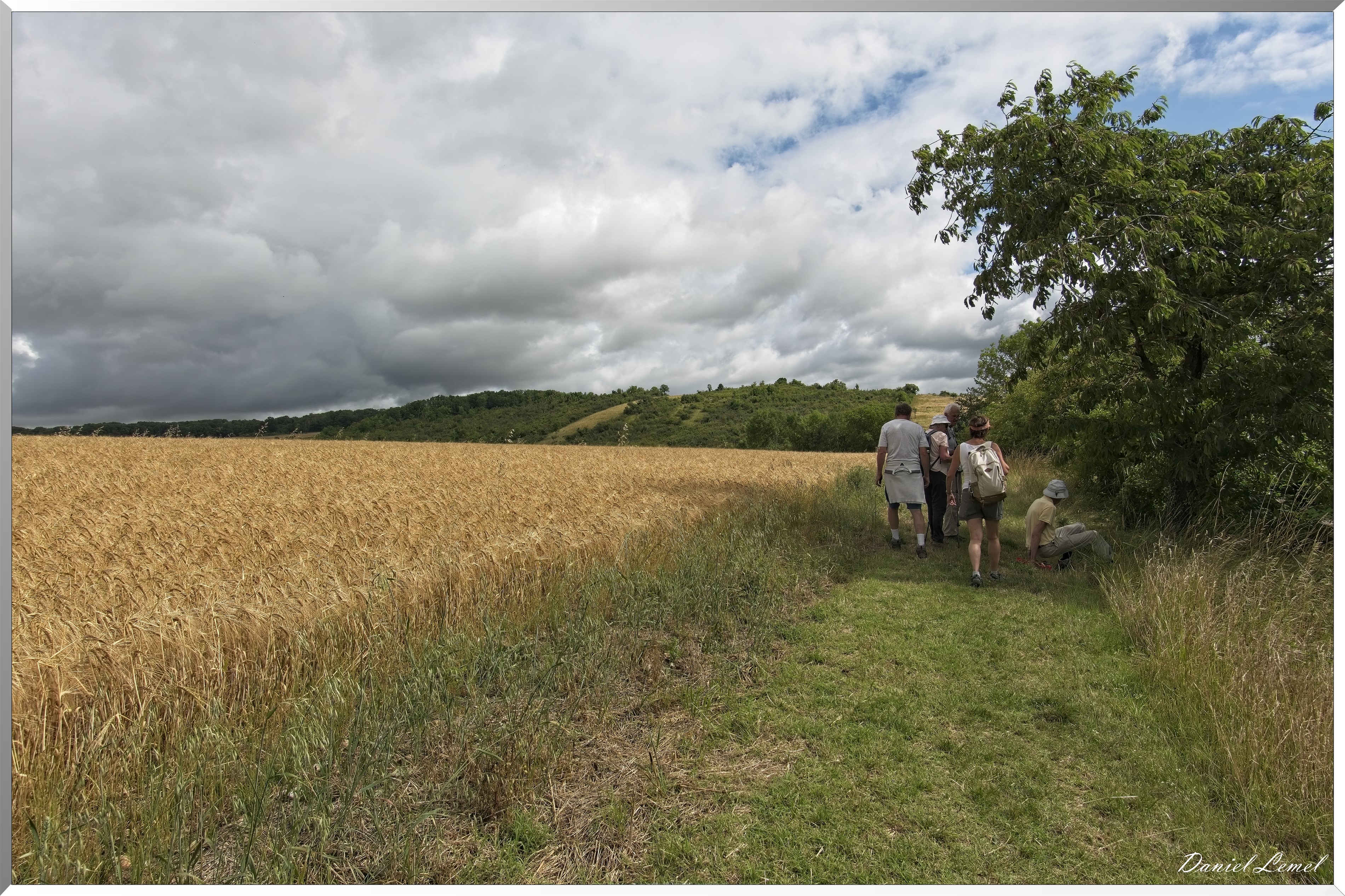 Gommecourt