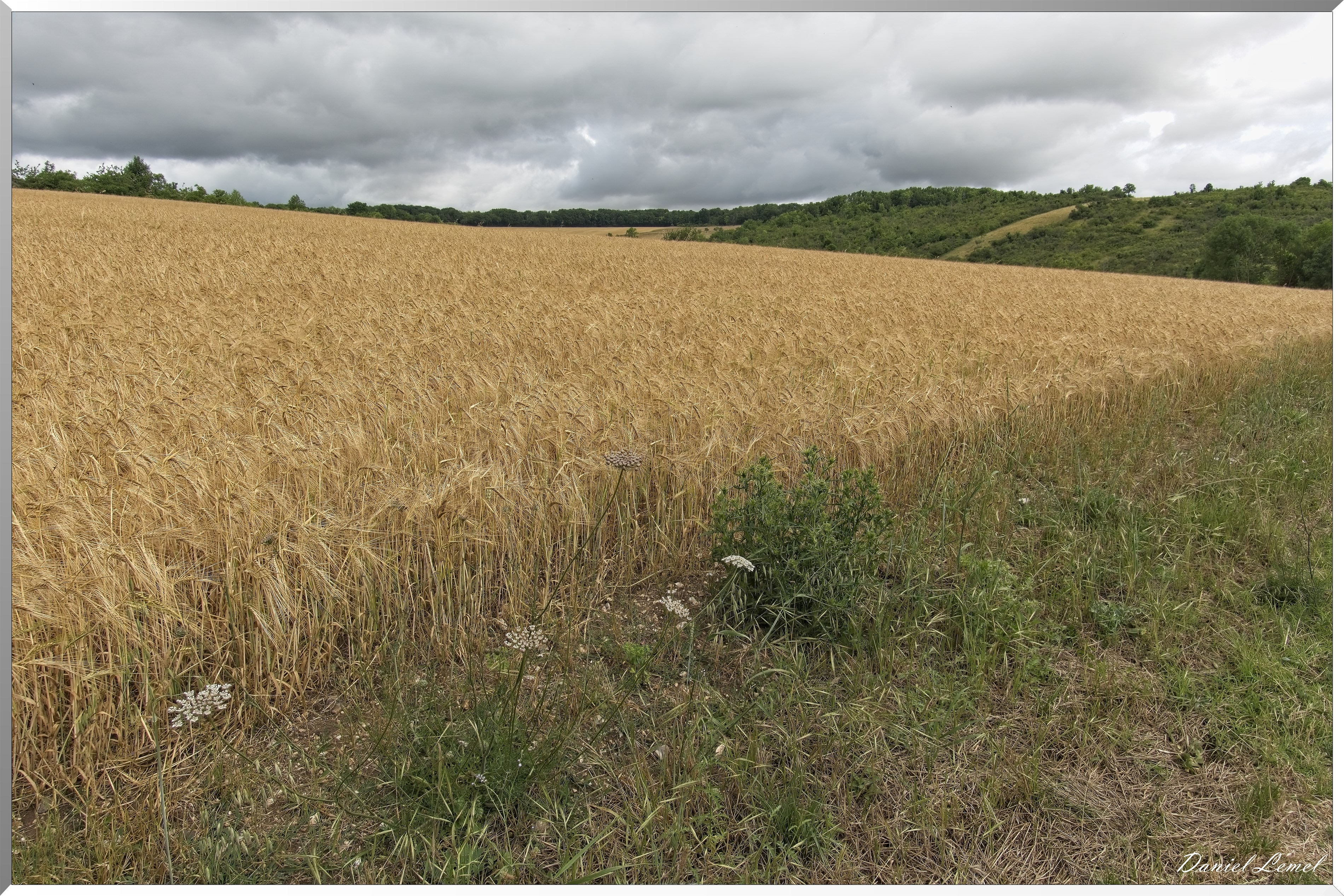 Gommecourt