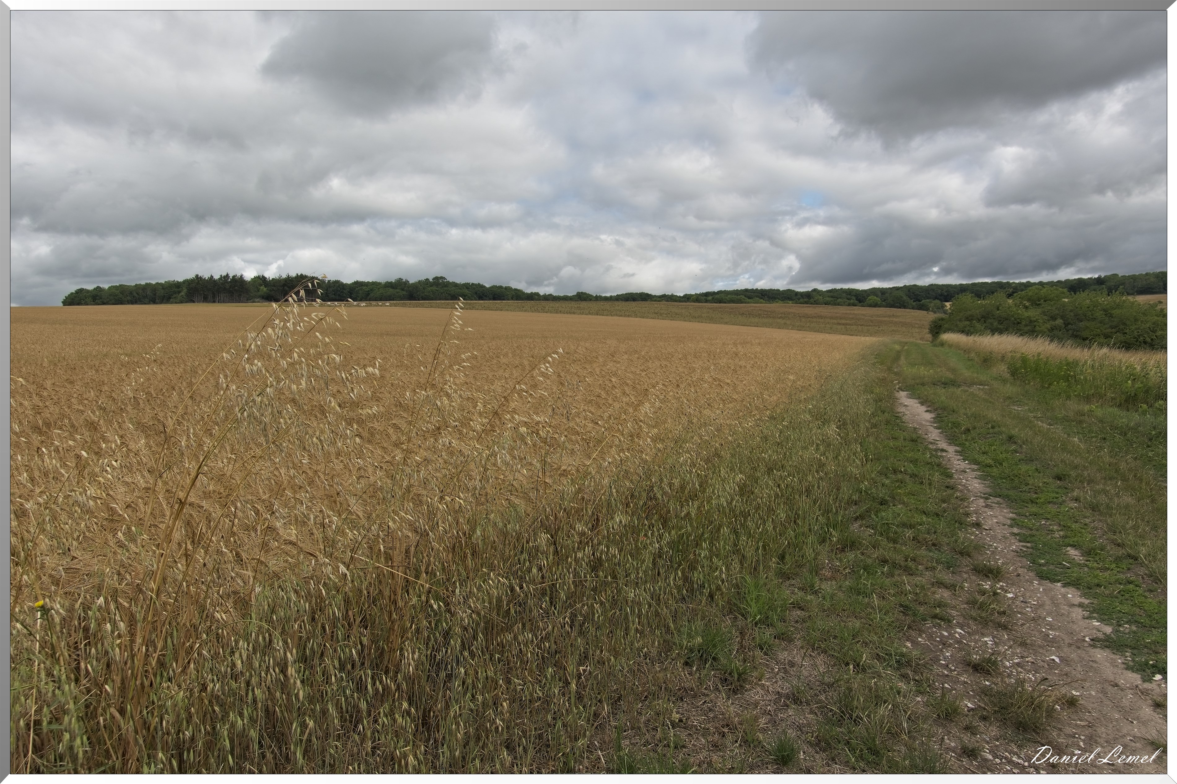 Gommecourt