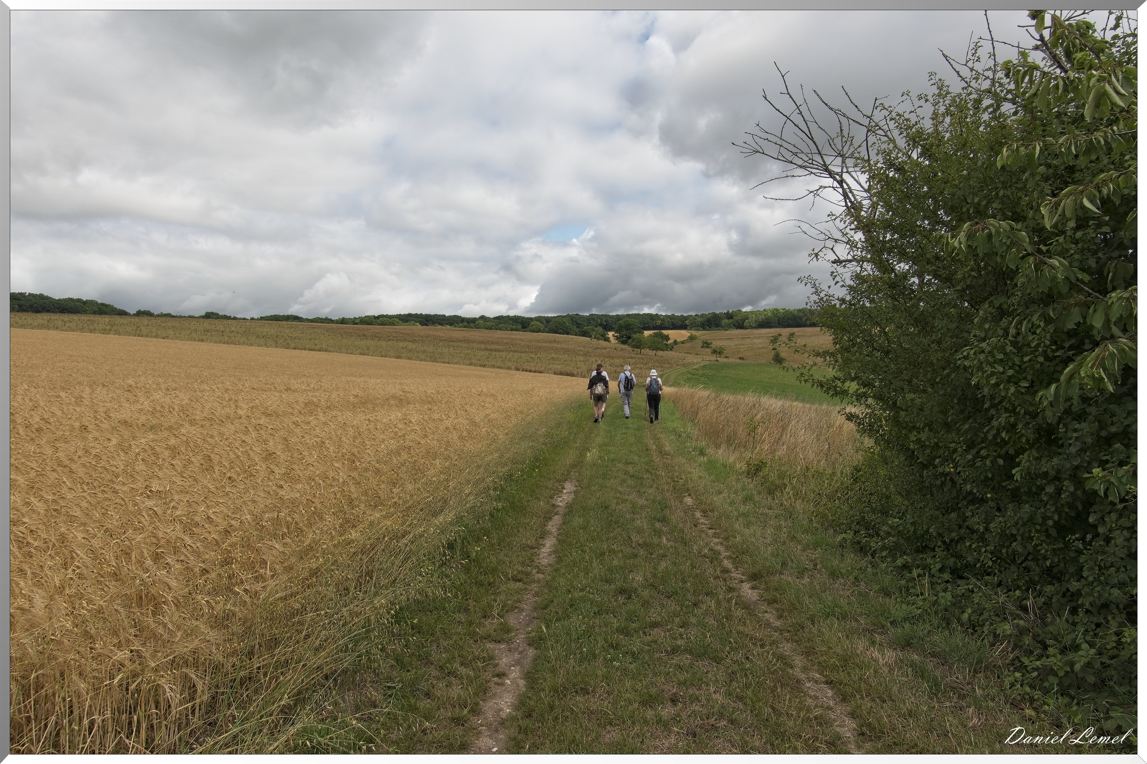 Gommecourt