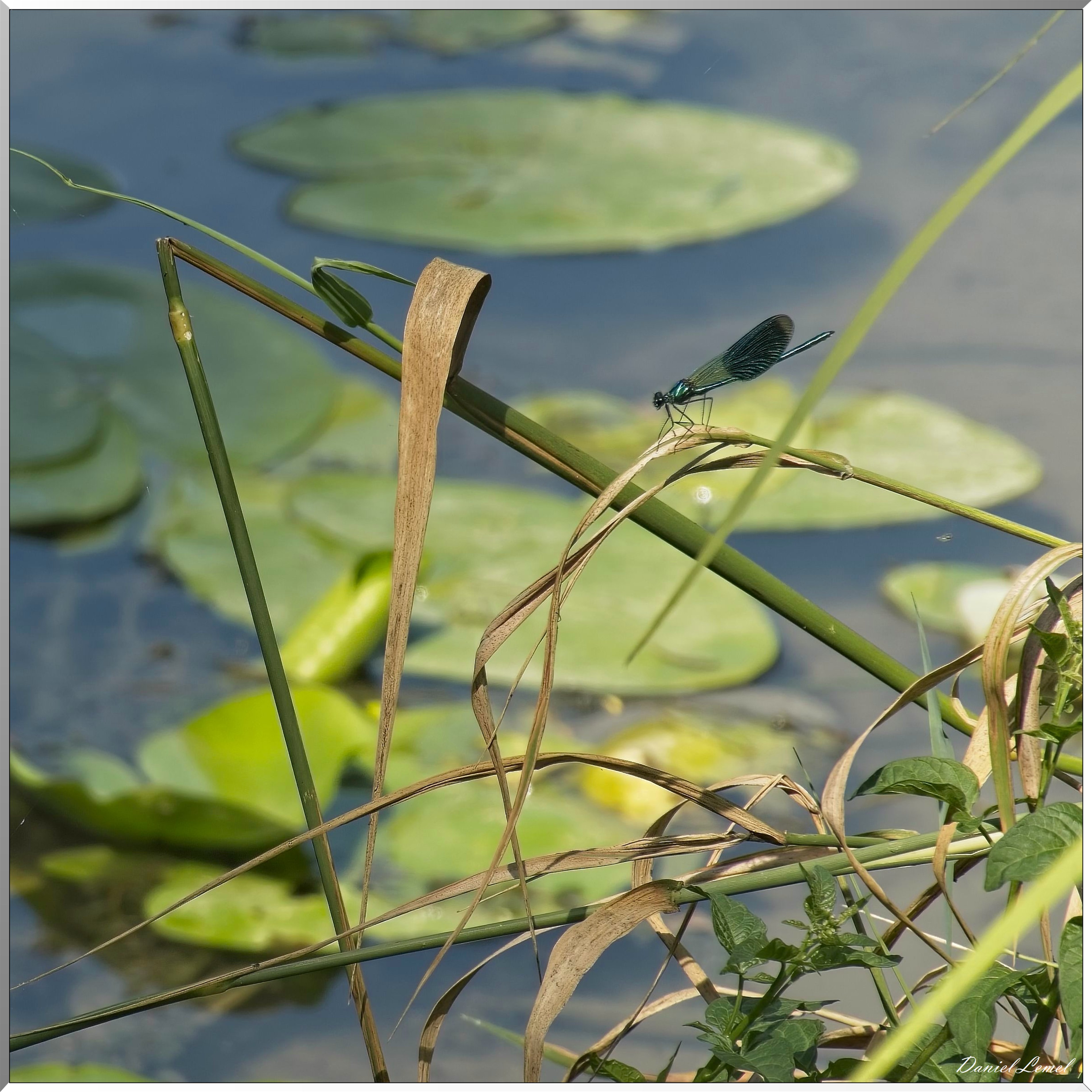 Pressagny-l'Orgueilleux