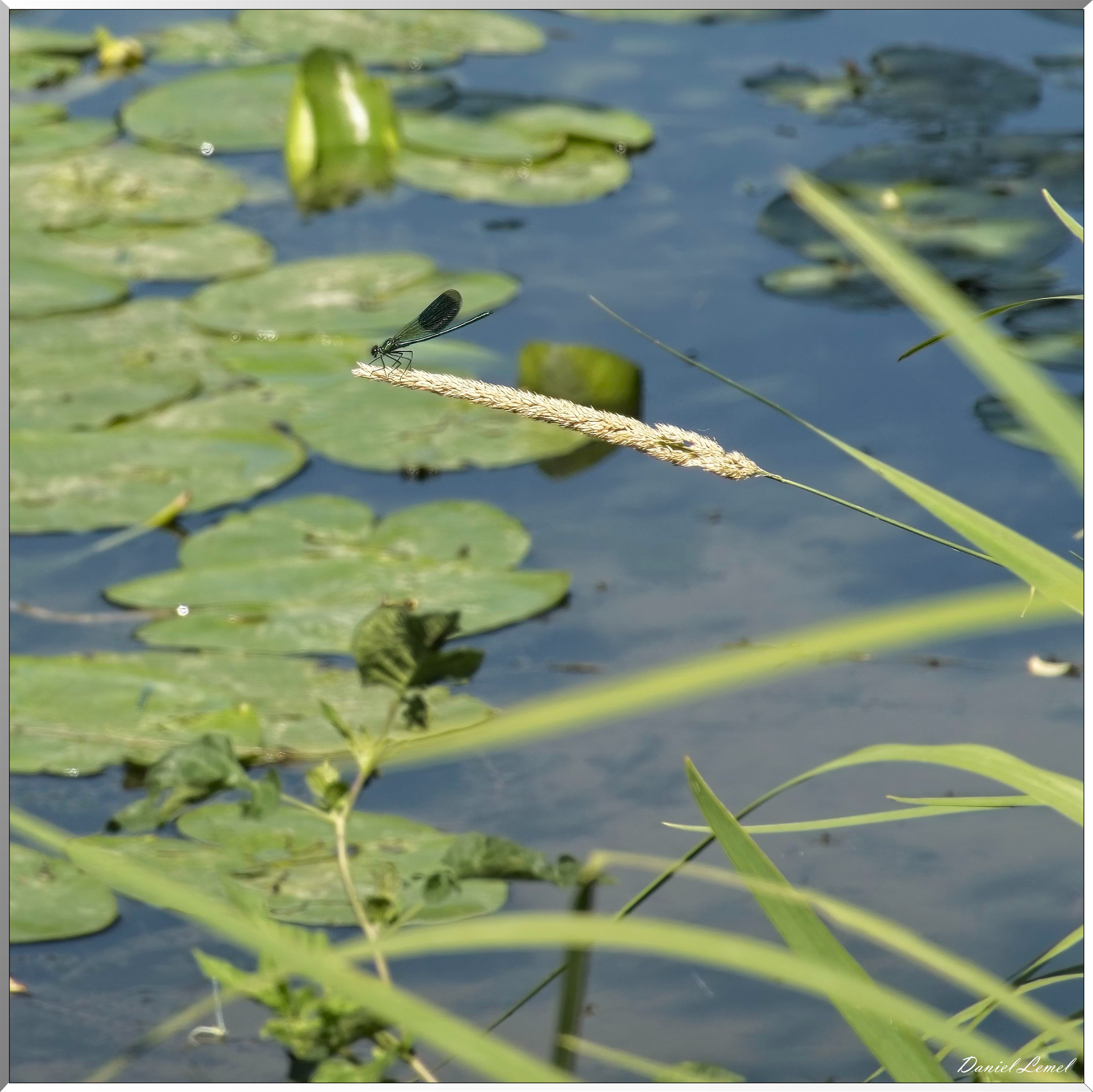 Pressagny-l'Orgueilleux