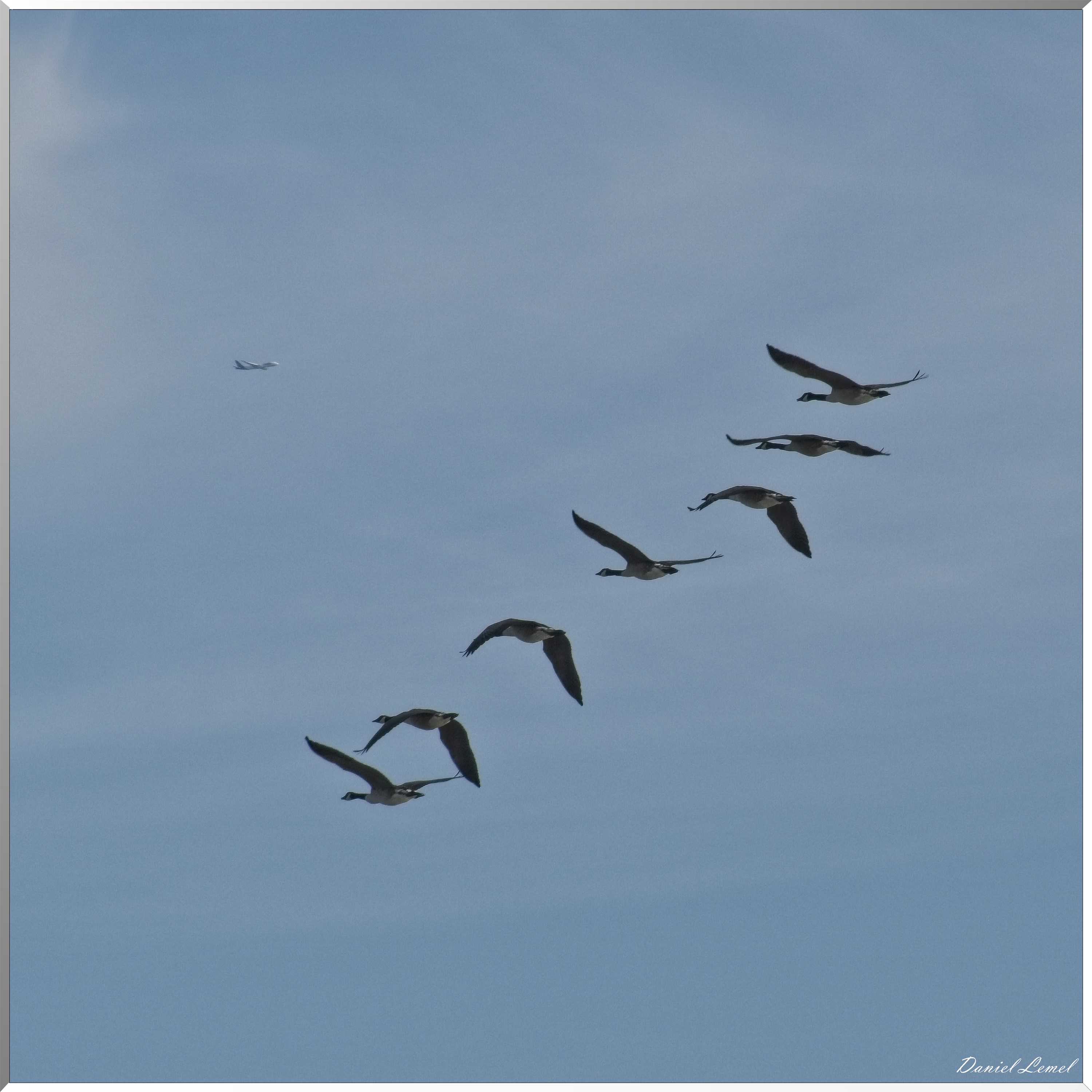 Bord de Seine - Vernon à Gaillon
