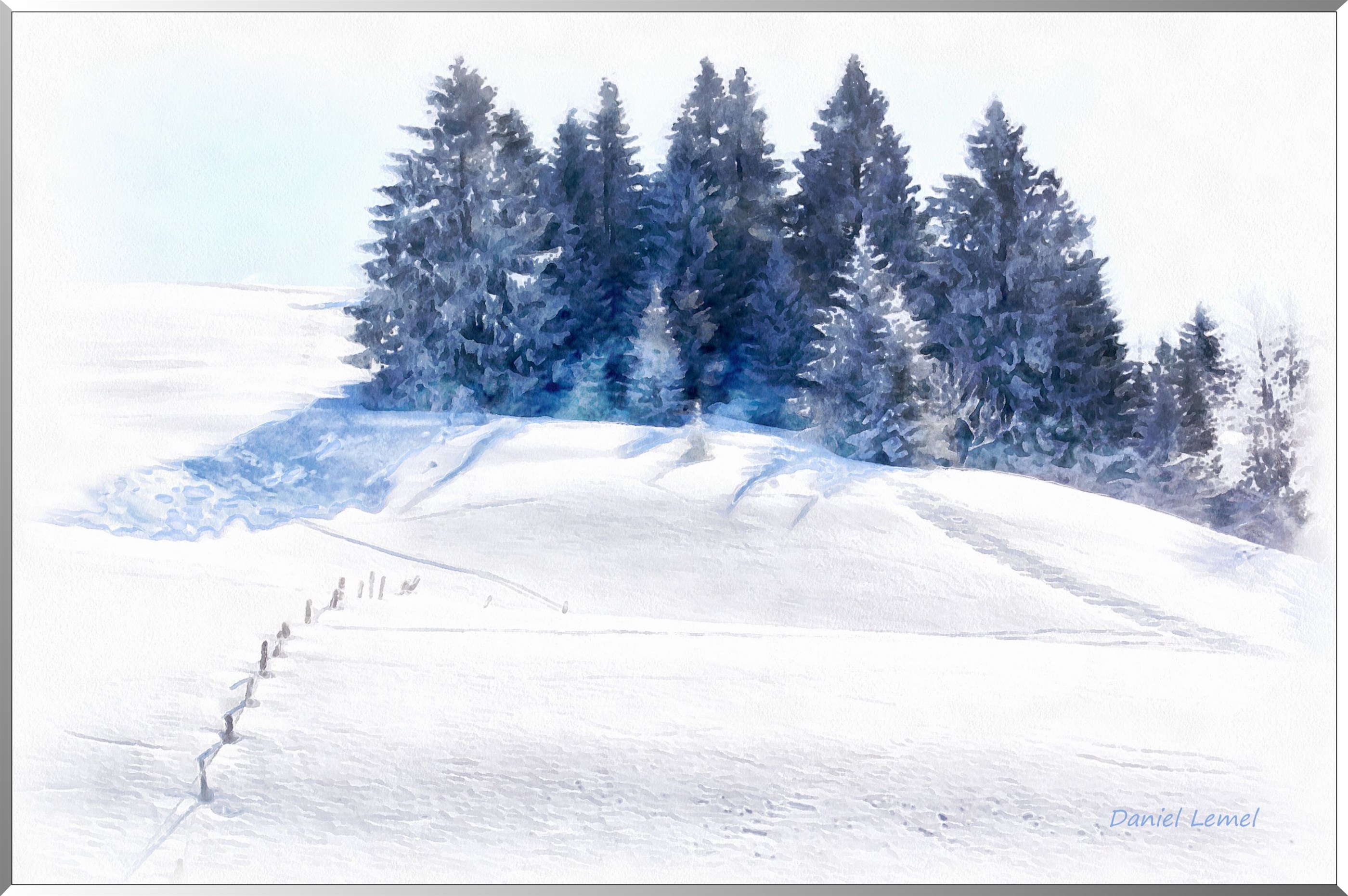 Epicéa sous la neige