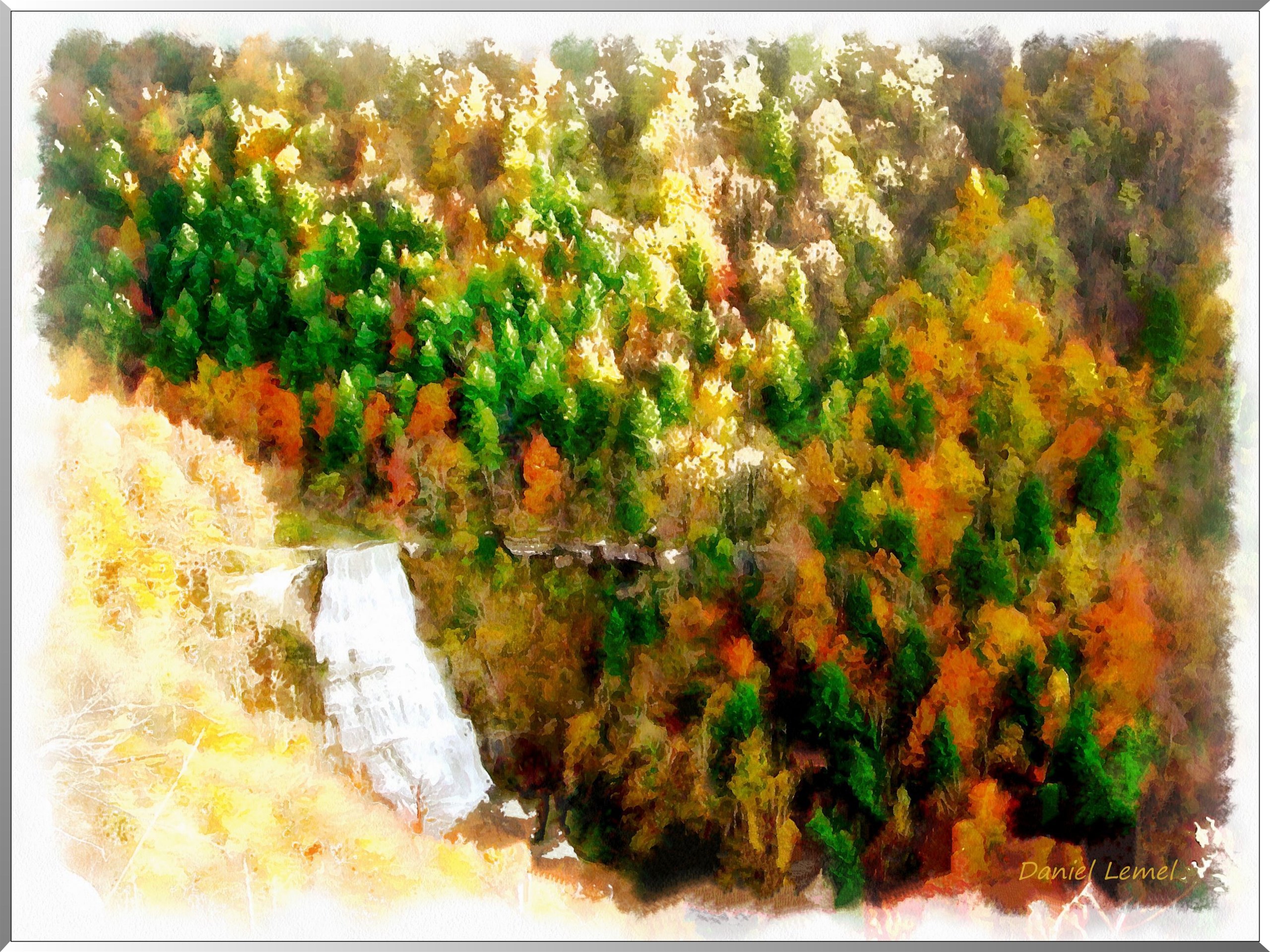 Arbres en automne