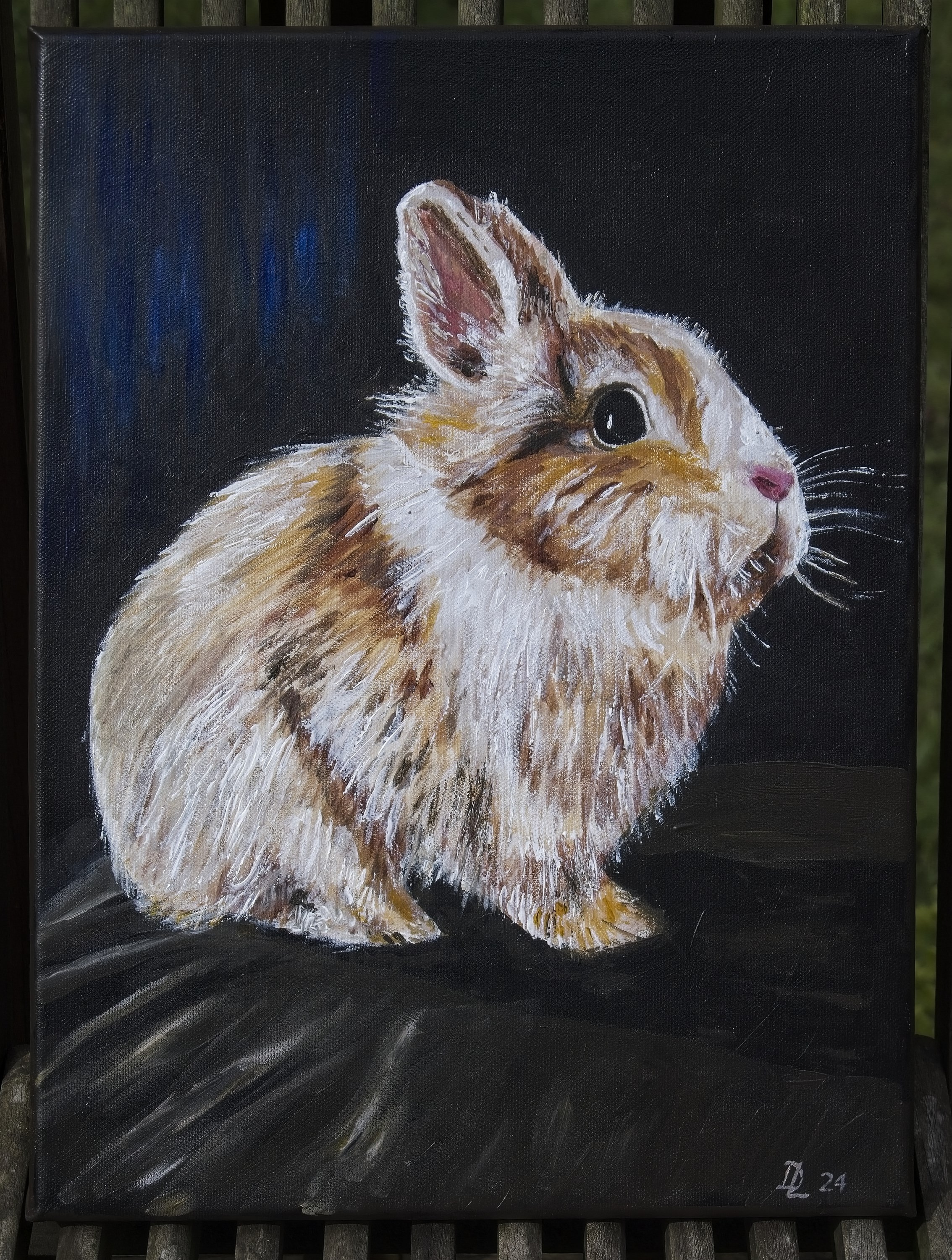 Lapin