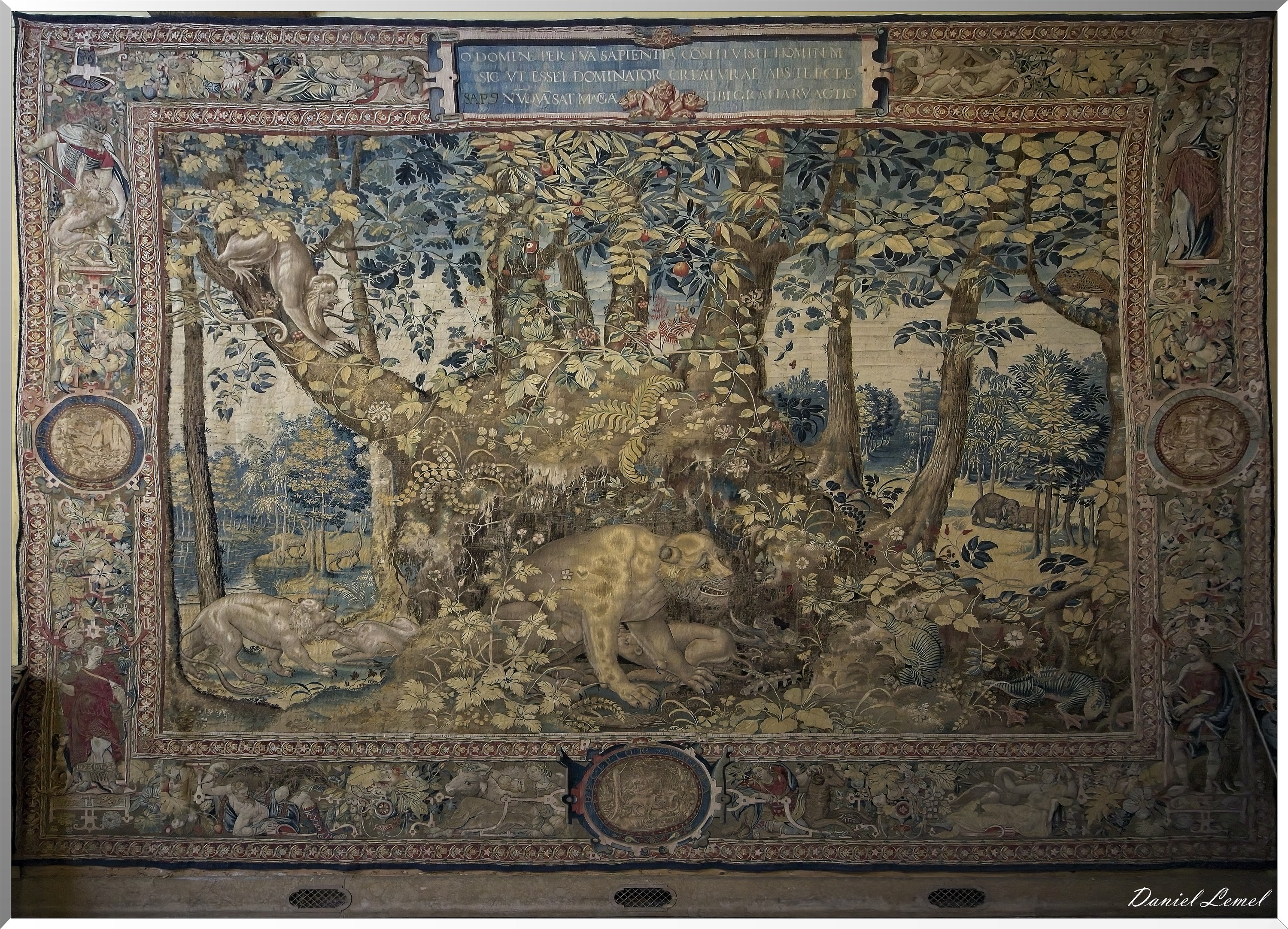  DSC2007W