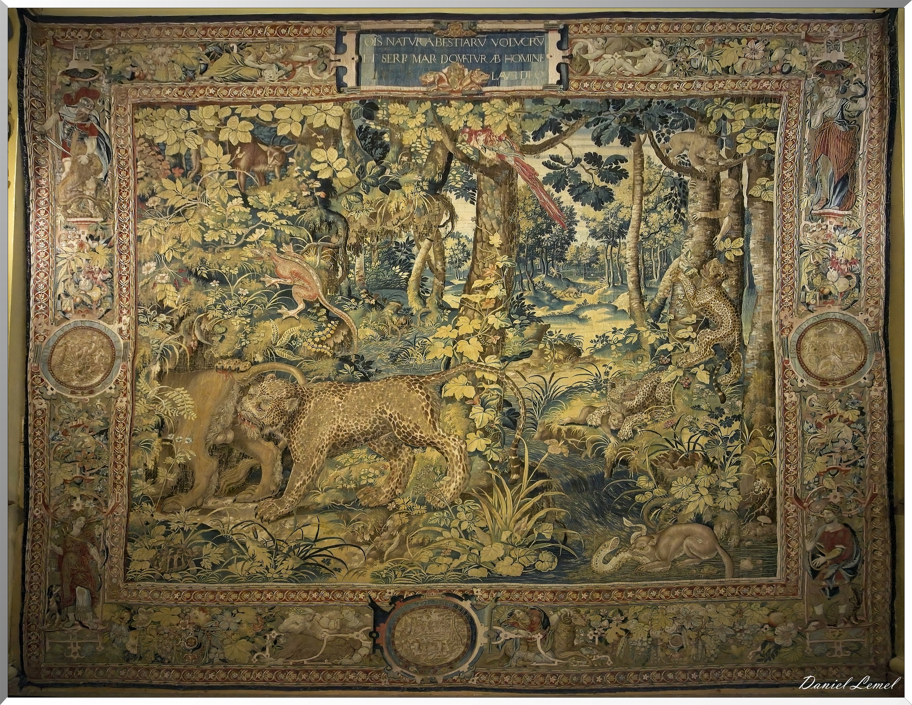  DSC2008W