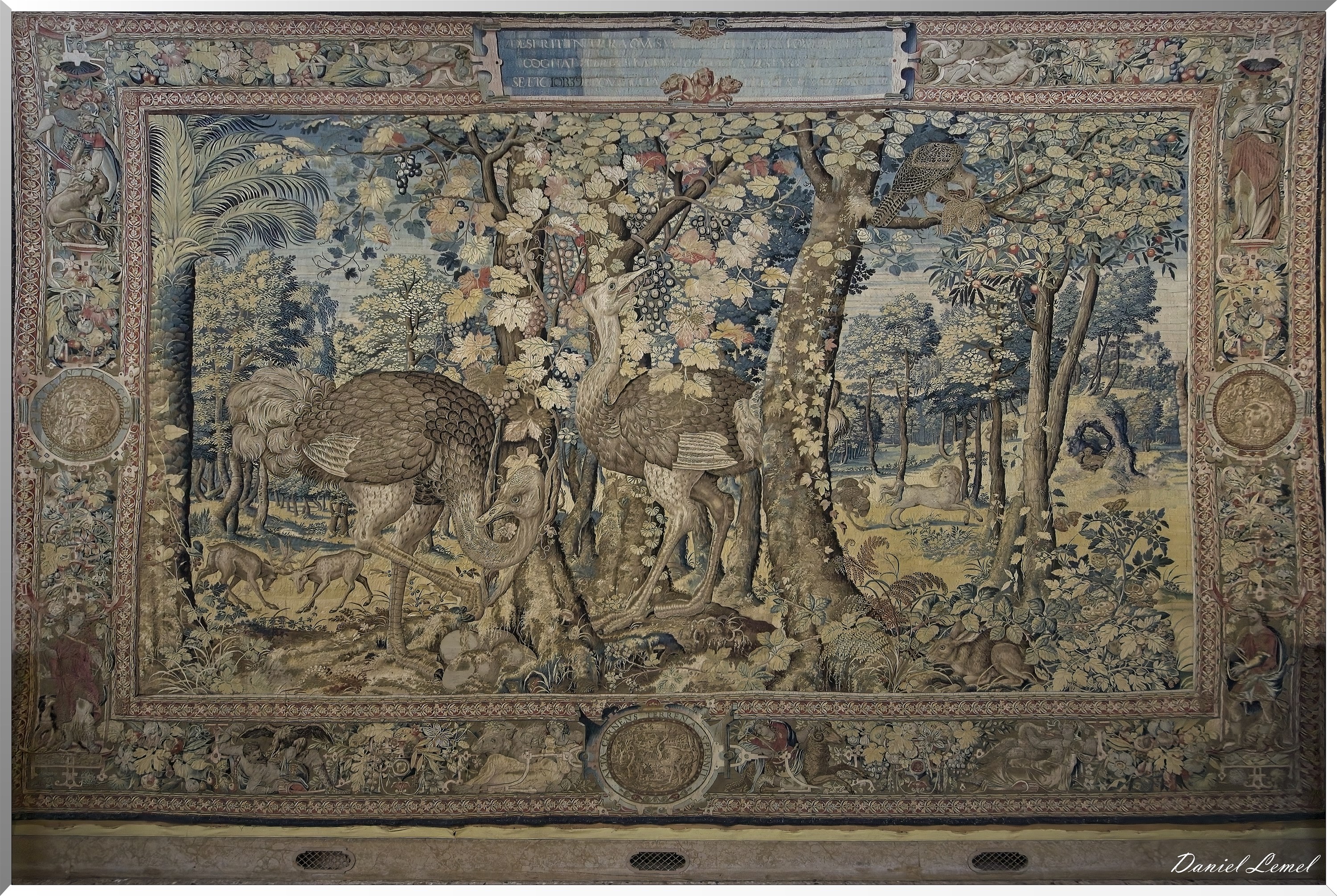  DSC2009W