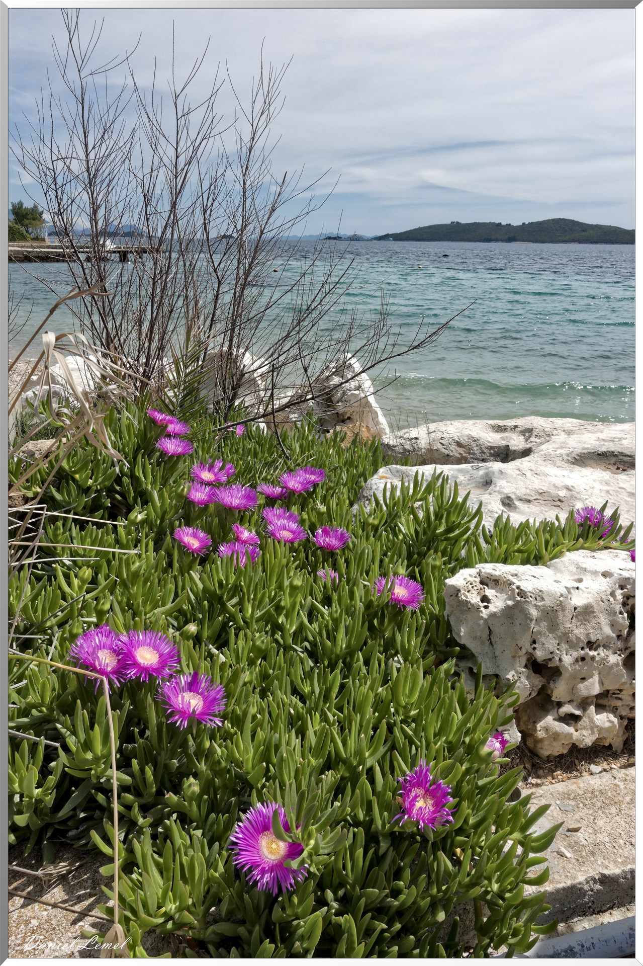 Bord de mer à Orebić-Perna
