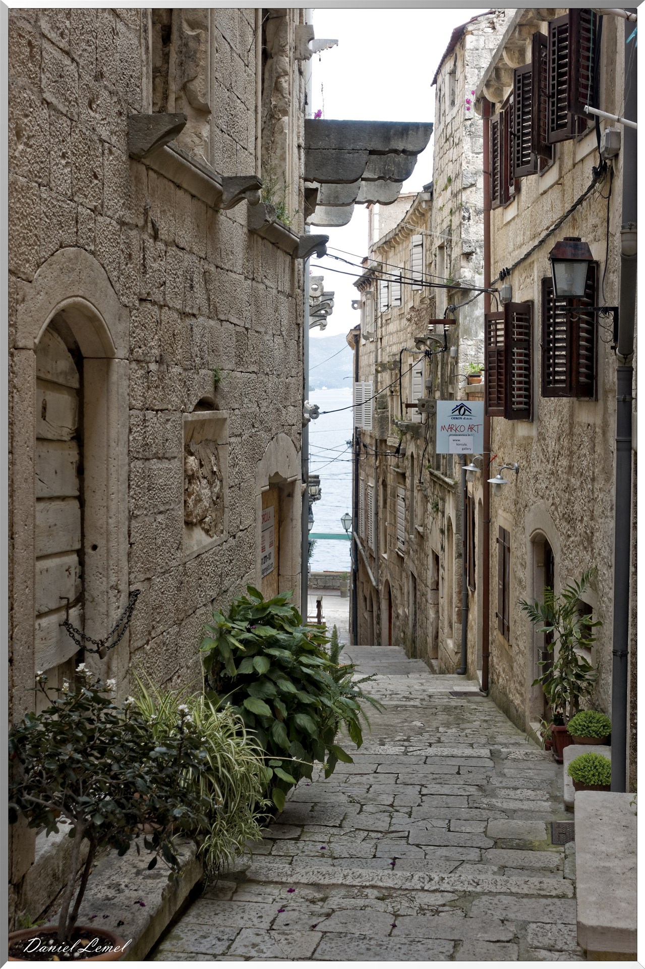 Ruelle