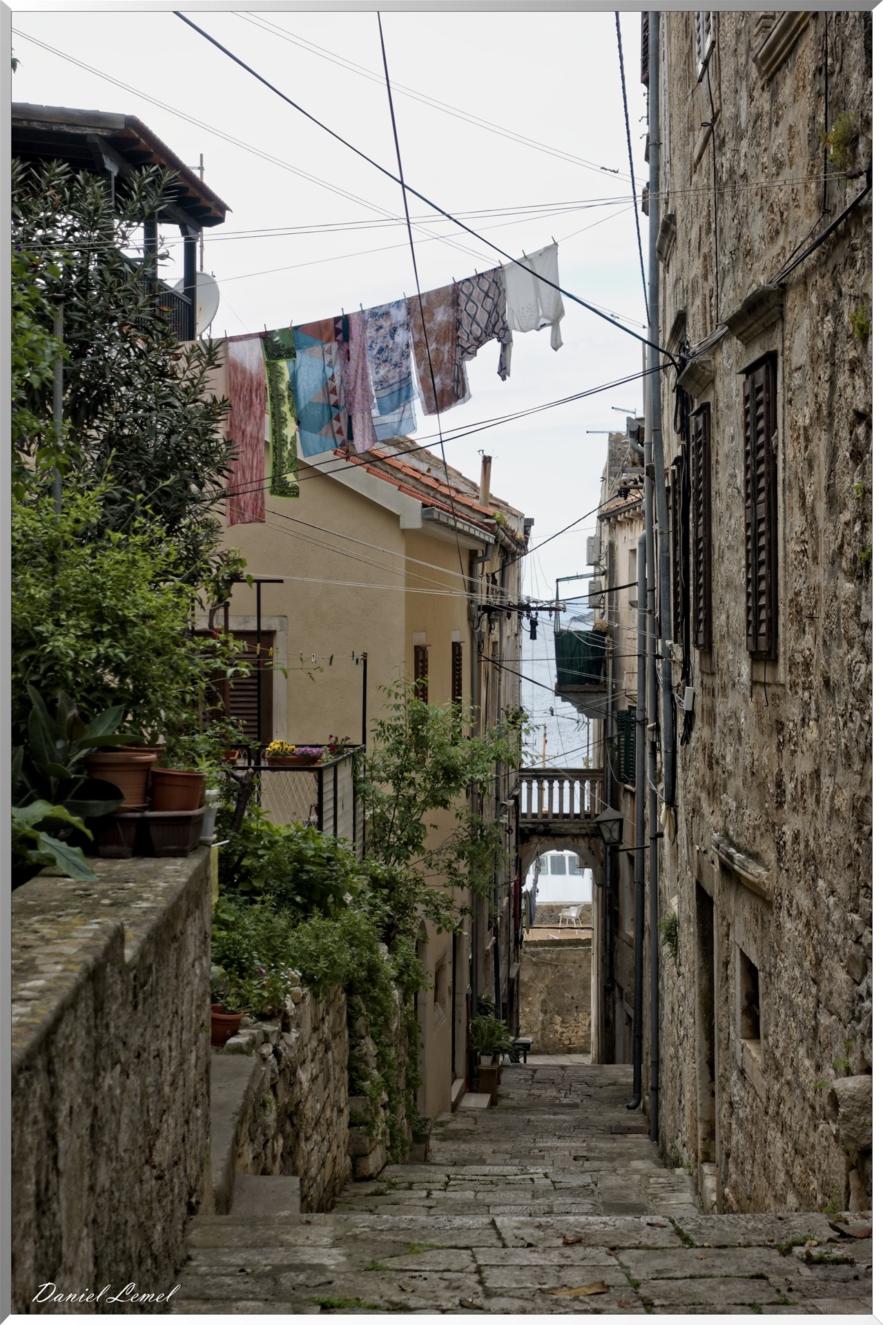 Ruelle