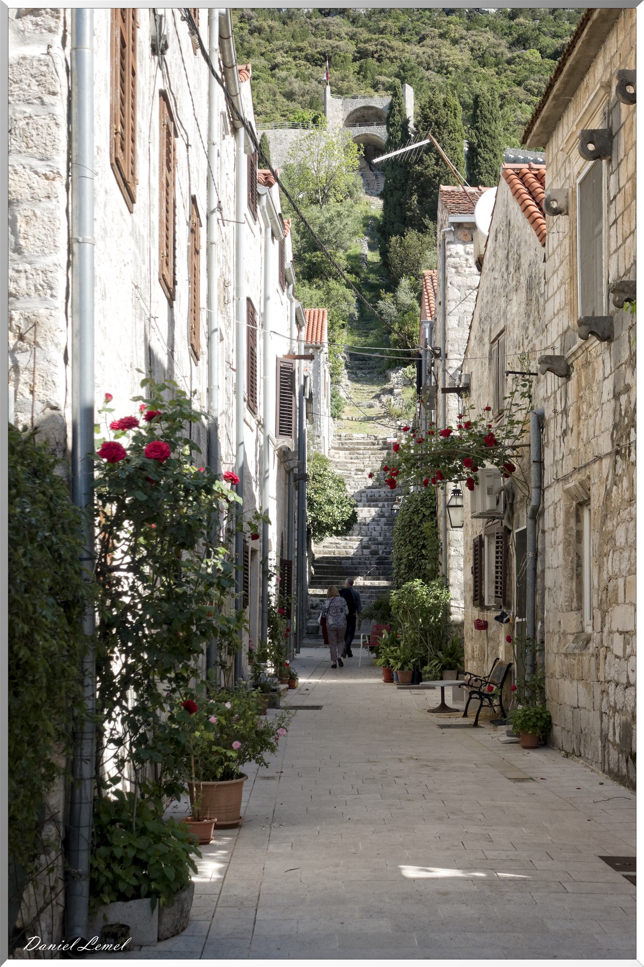 Ruelle