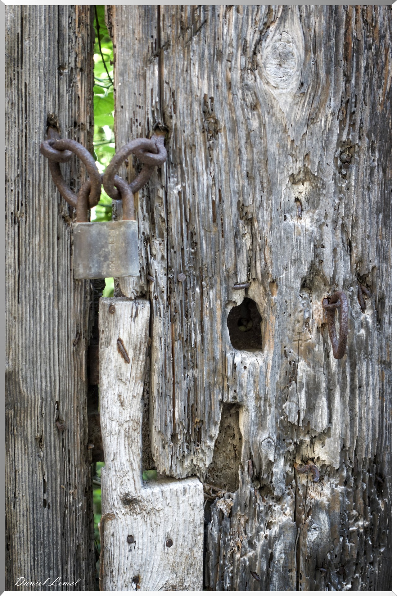 Détail de porte vermoulue