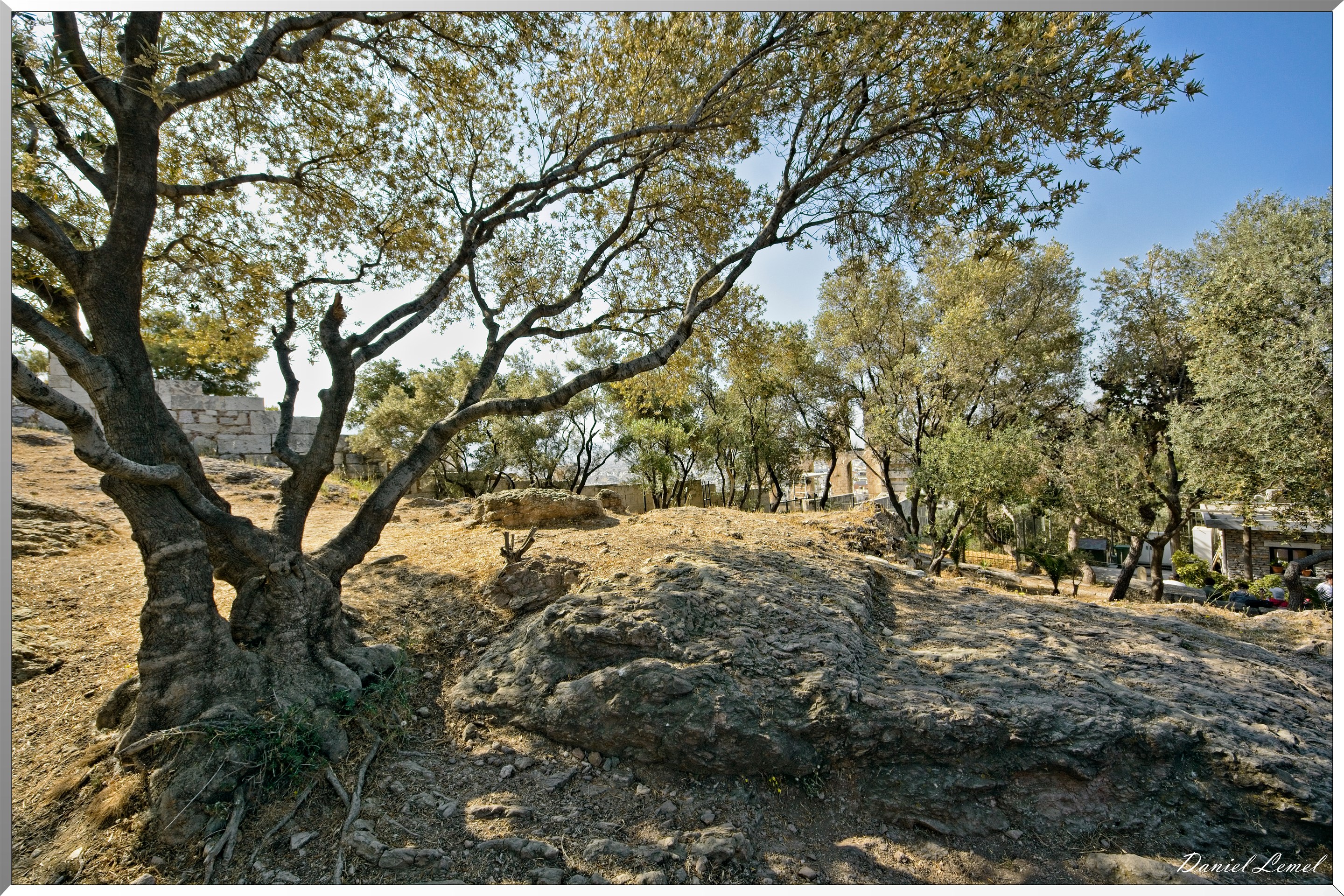  DSC0002W