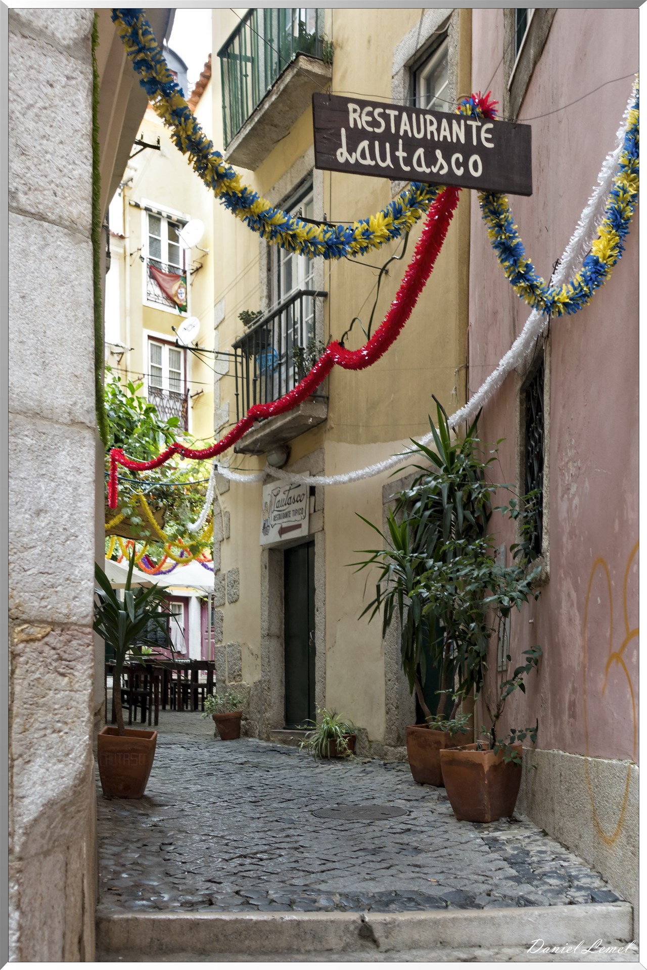  DSC7832 DxOW
