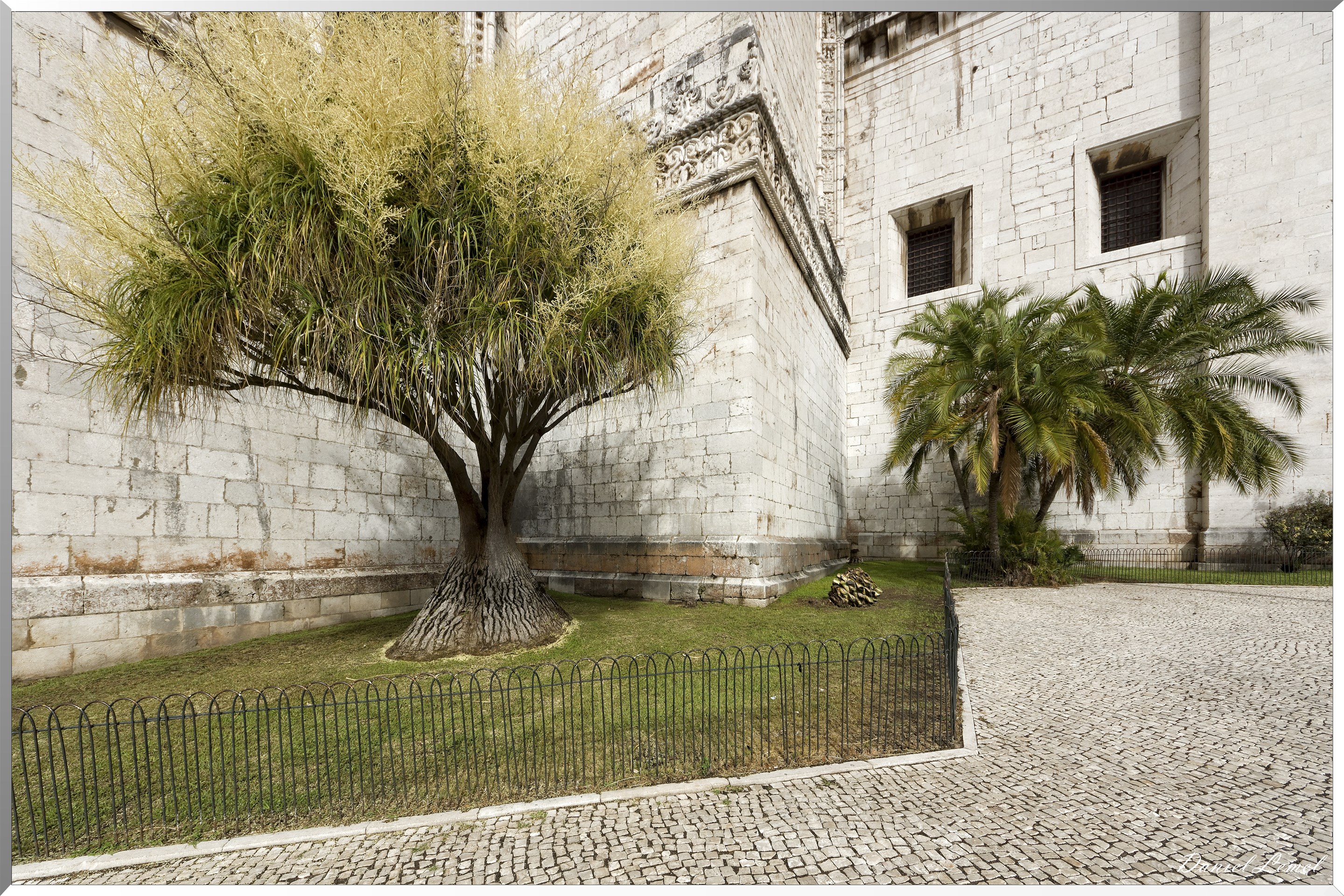  DSC0061 DxOW