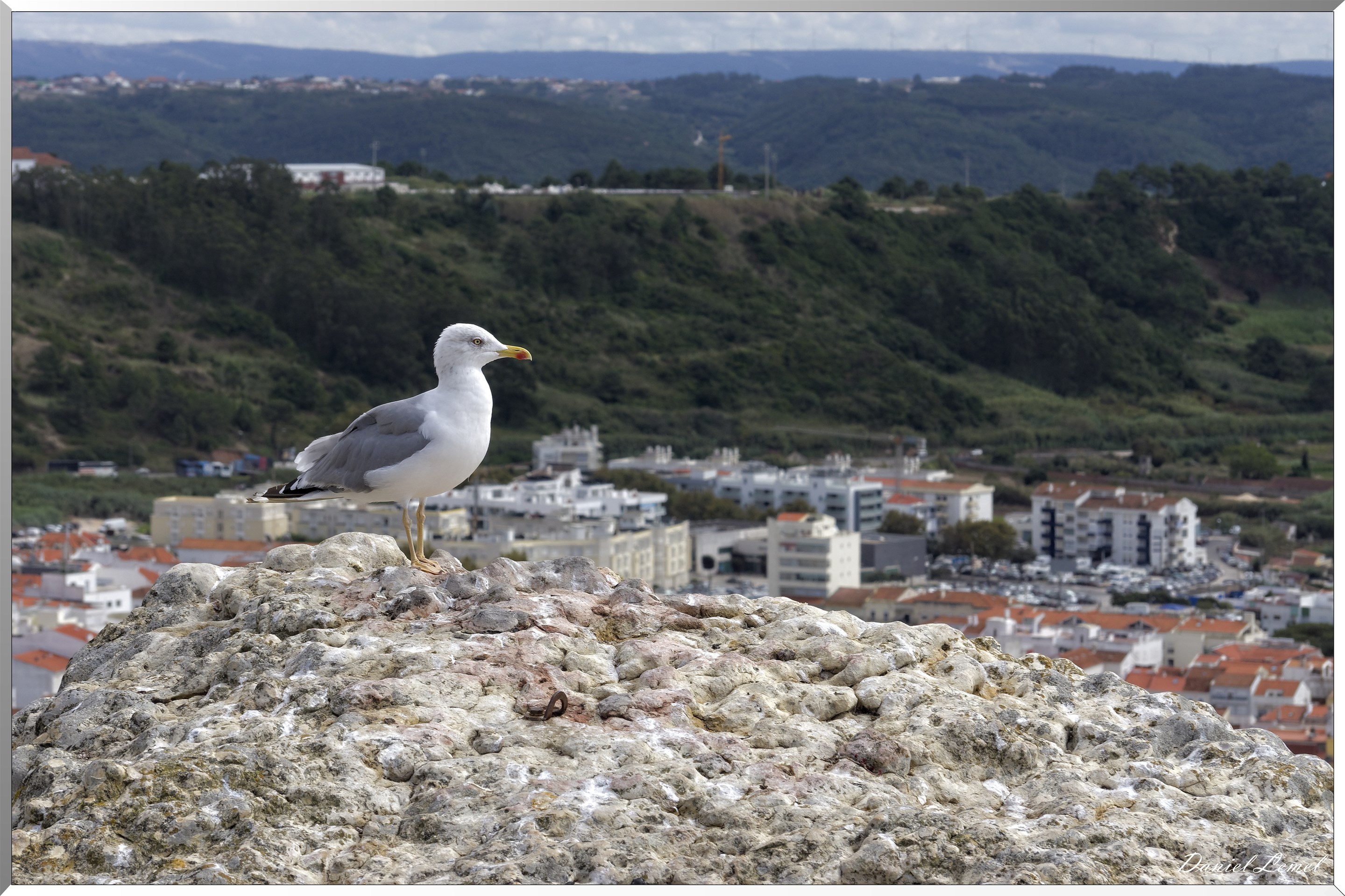  DSC0362 DxOW