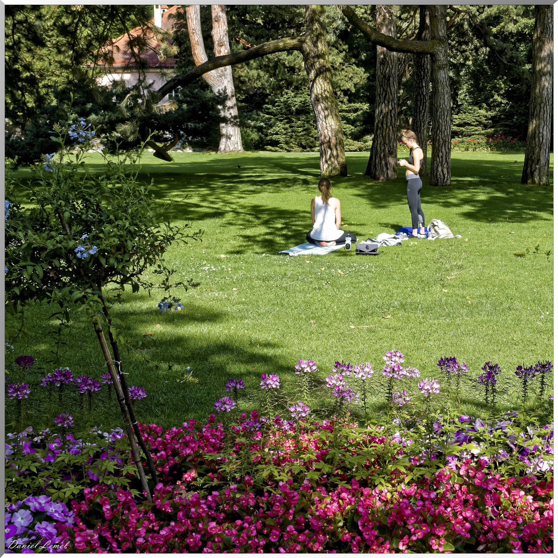 Hofgarten -Jardin public