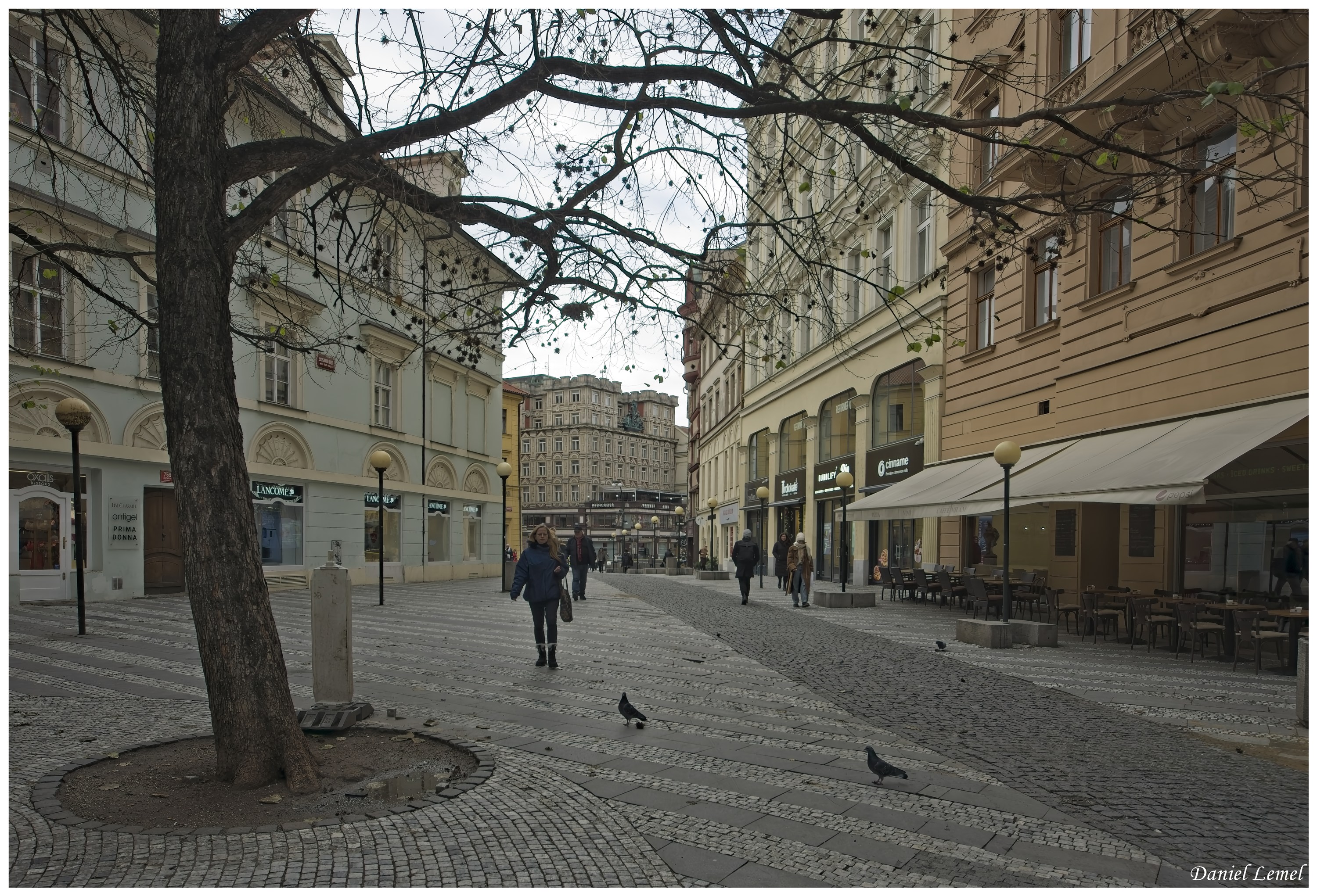  DSC4001W