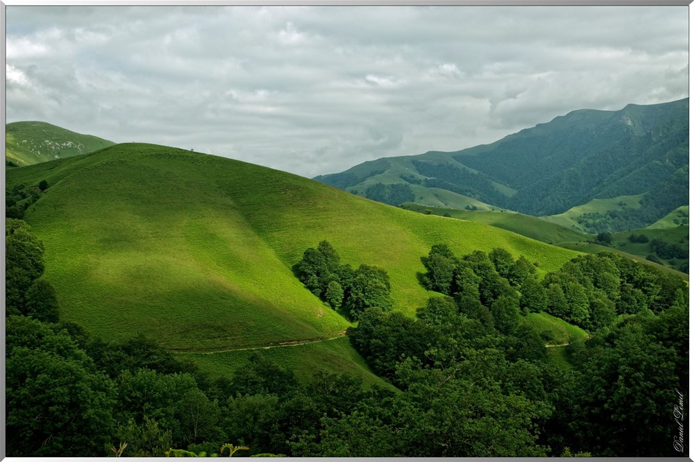 _DSC0065_DxO-copy-1w